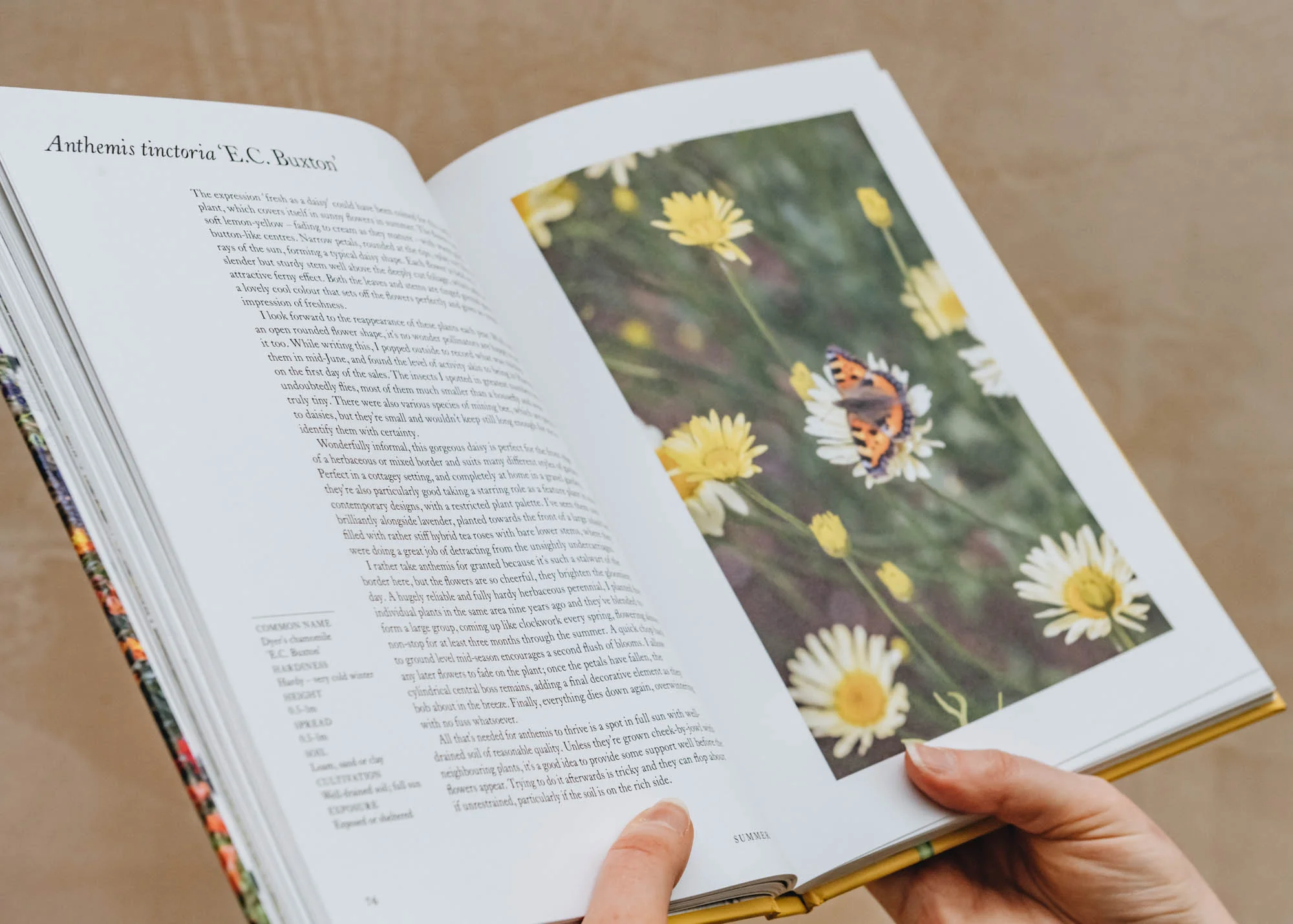 A Flower Garden for Pollinators - Image 2