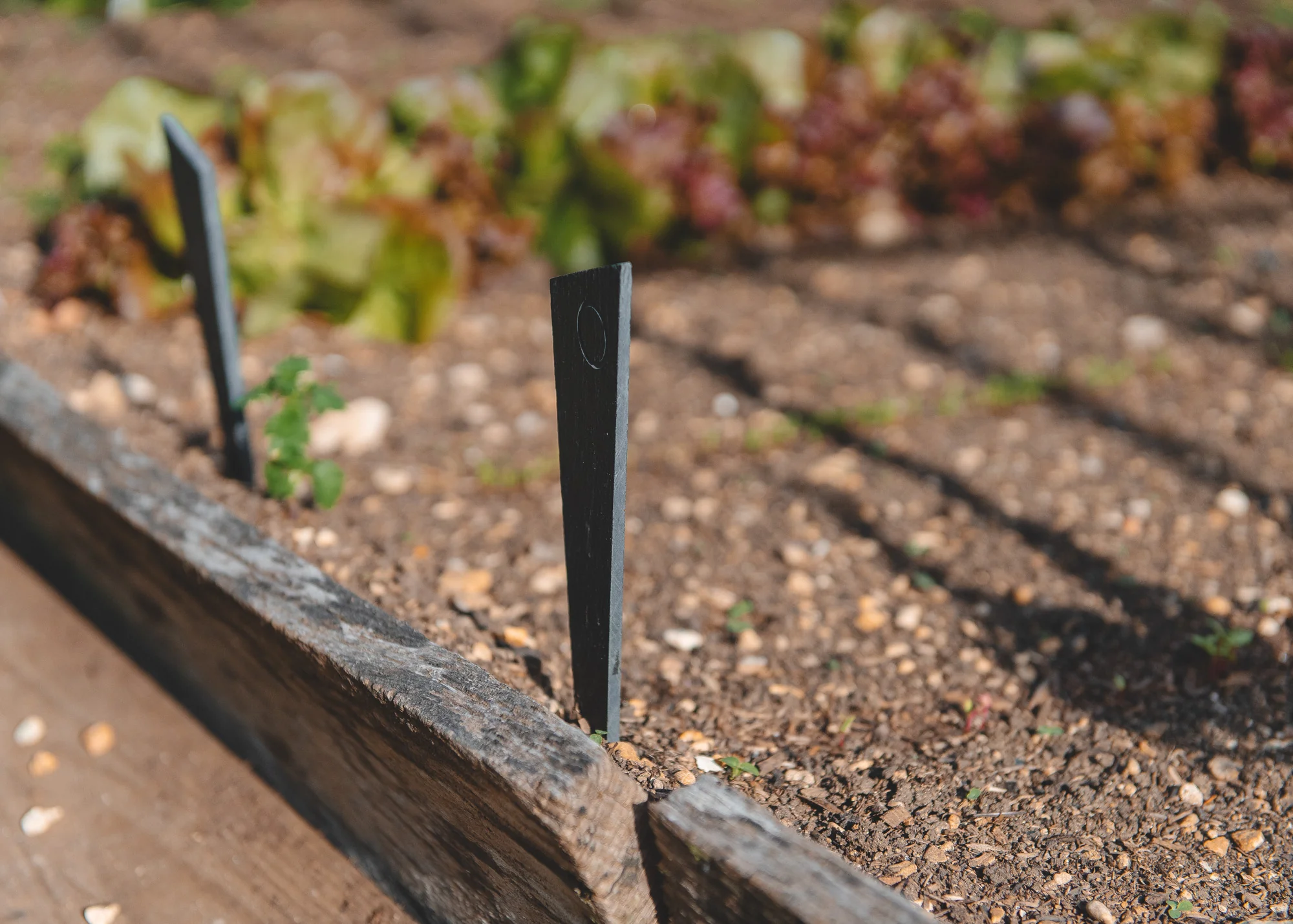 Abstract Slate Plant Markers - Image 3