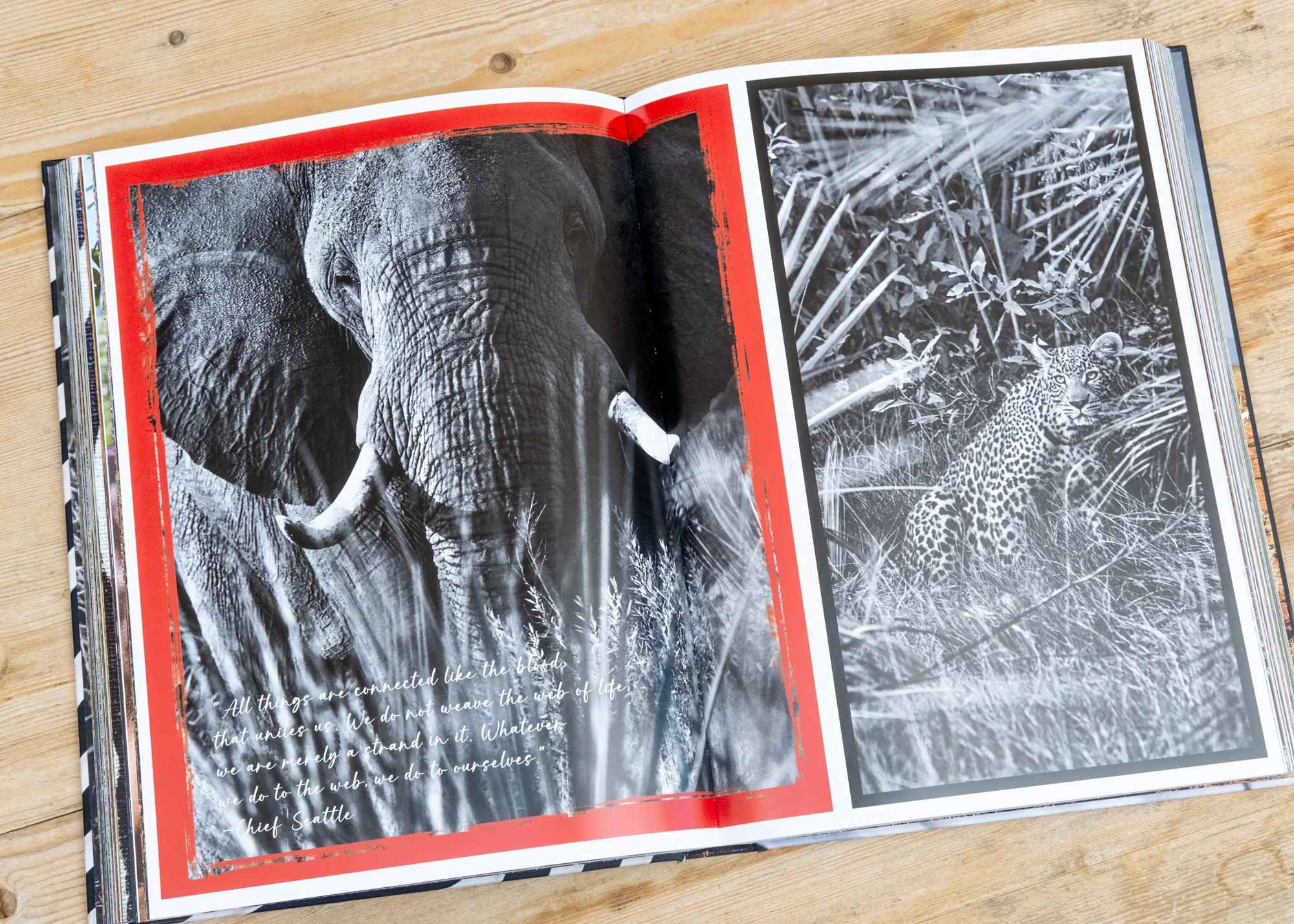 African Adventures - Image 2