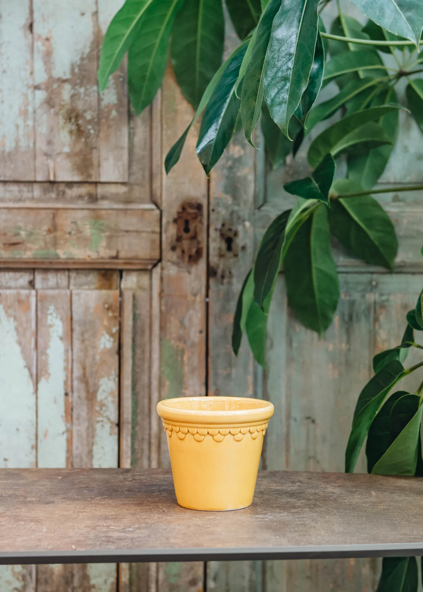 Amber Yellow Glazed Copenhagen Pots - Image 2