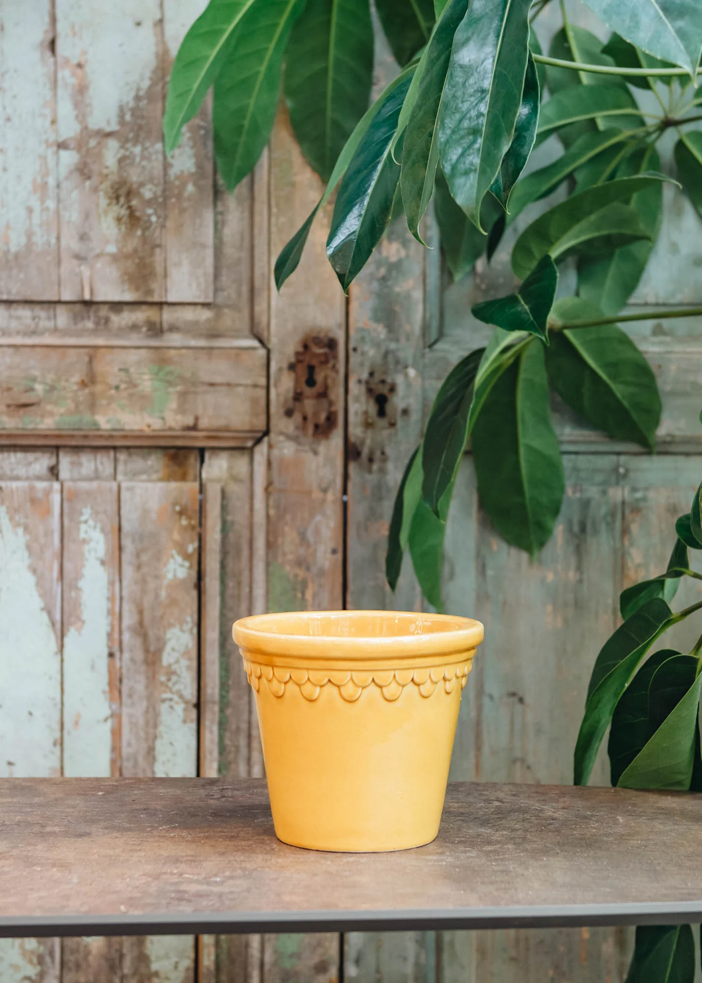 Amber Yellow Glazed Copenhagen Pots - Image 3