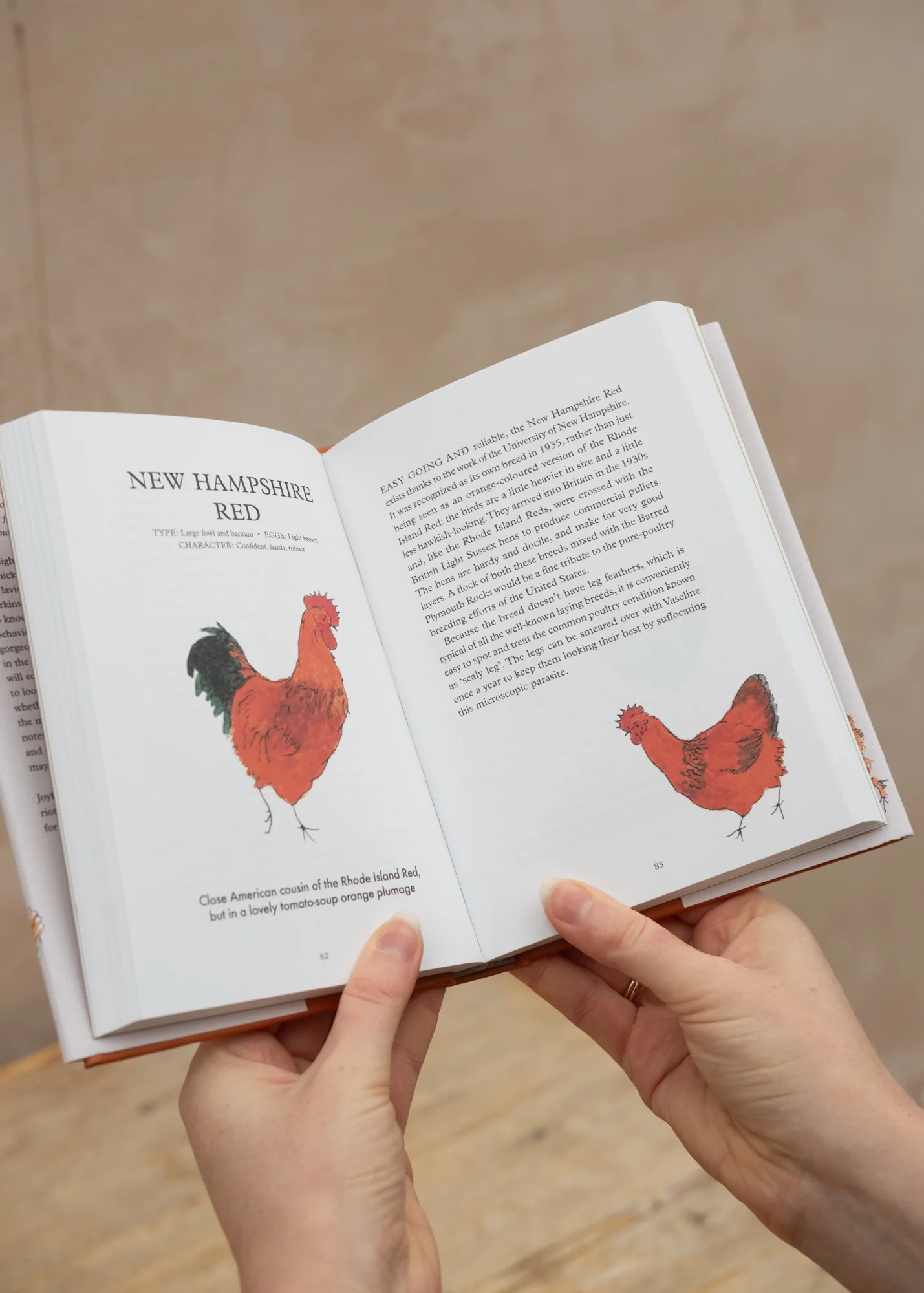 Hen Party: A Celebration (limited signed copies) - Image 2
