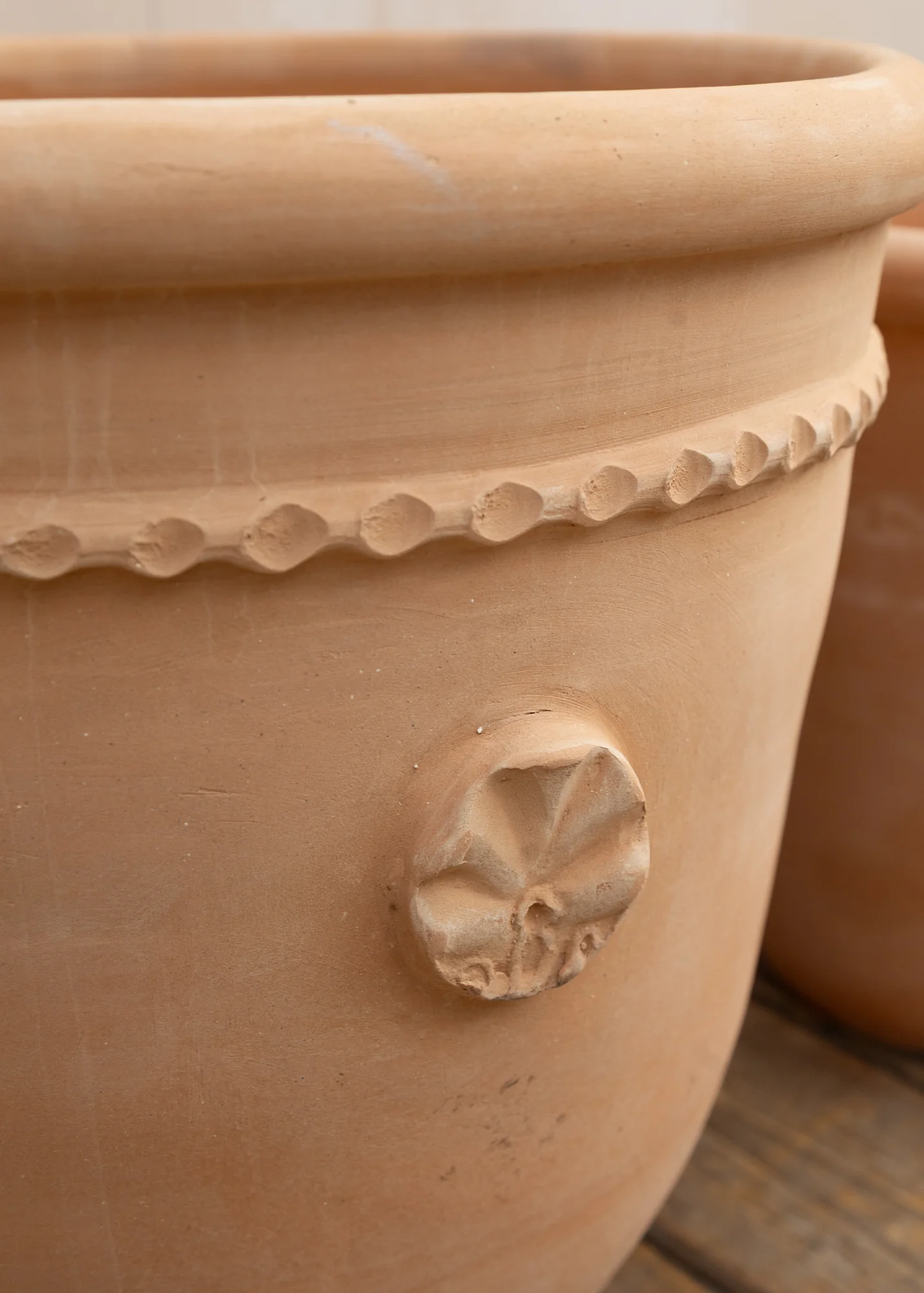 Small Coquille Pot - Image 2