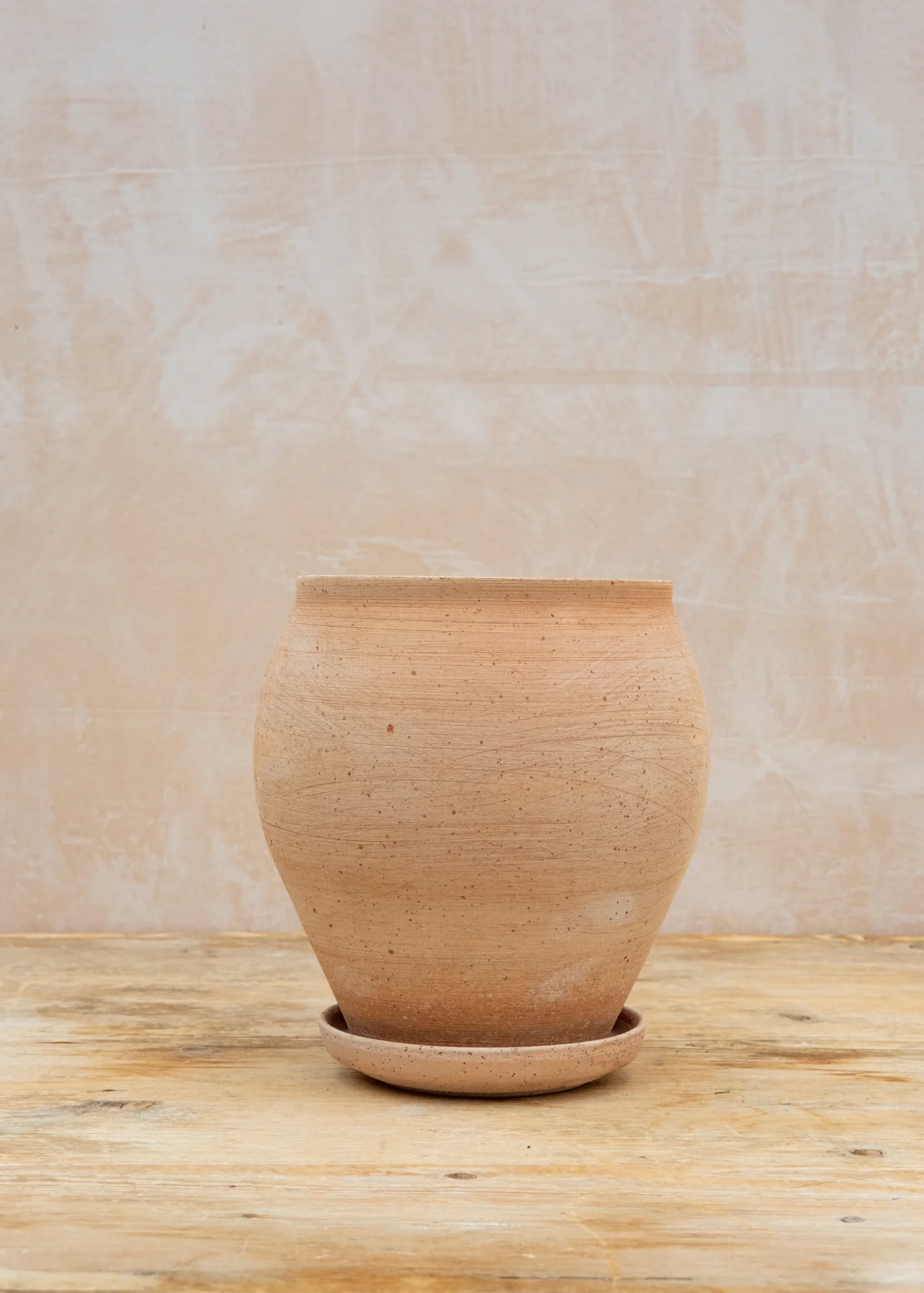 Delphi Rosa Pot and Saucer Set, 20cm