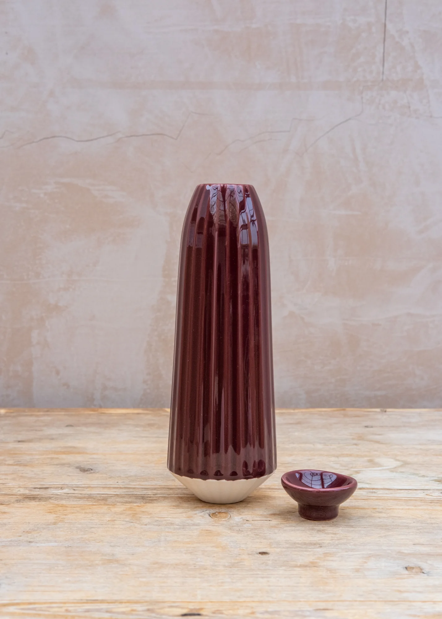 Glazed Cove Water Cacti in Deep Burgundy, 450ml - Image 2