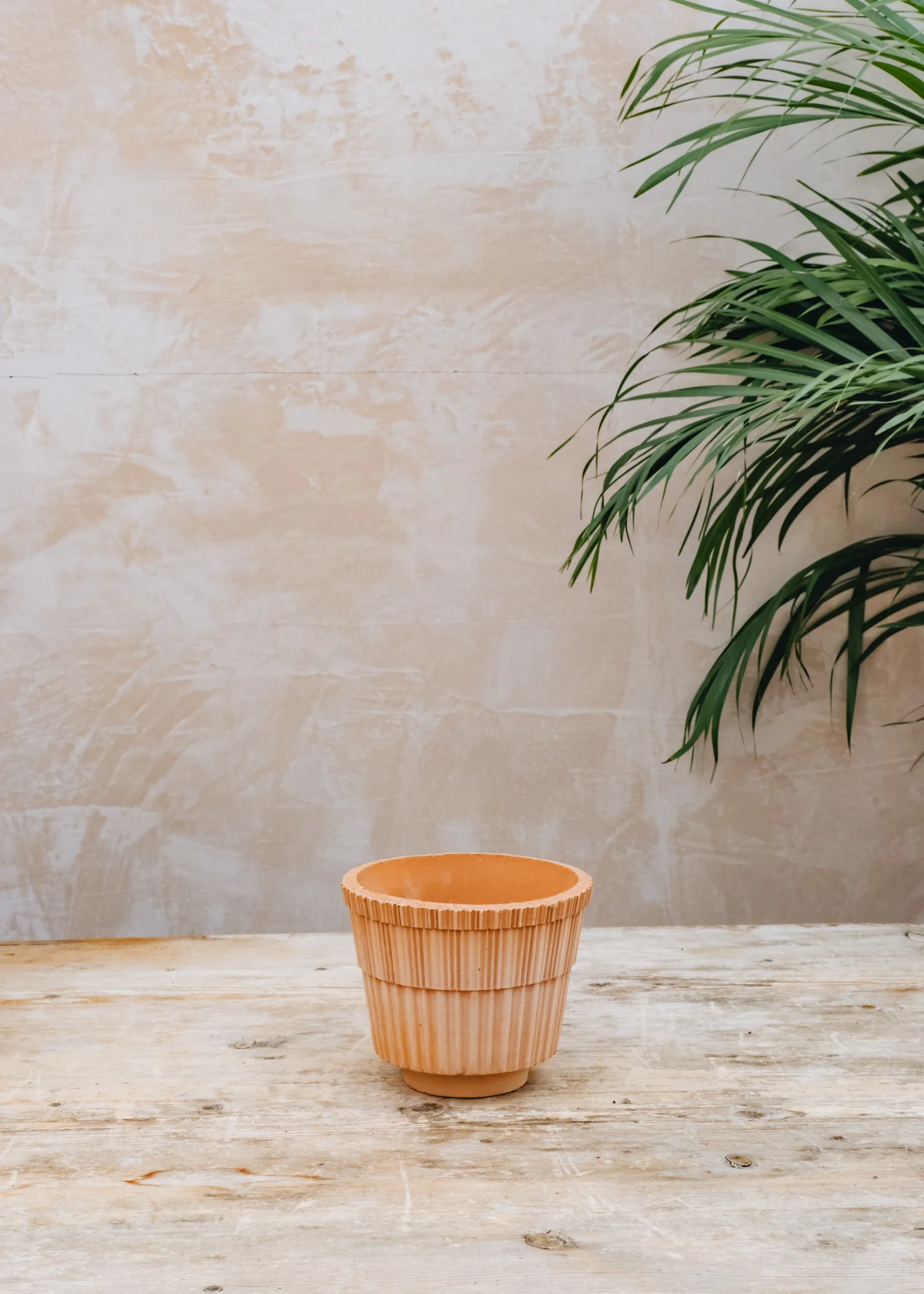 Rosa Atlas Pots - Image 2