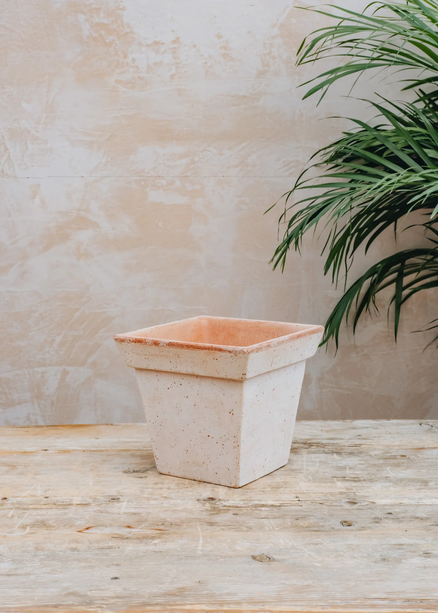 Rosa Gaia Pots - Image 2