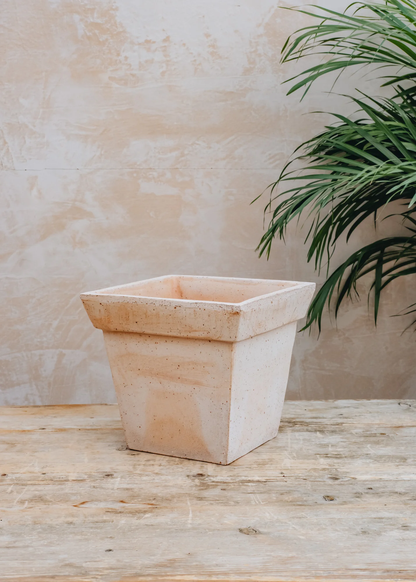 Rosa Gaia Pots - Image 3