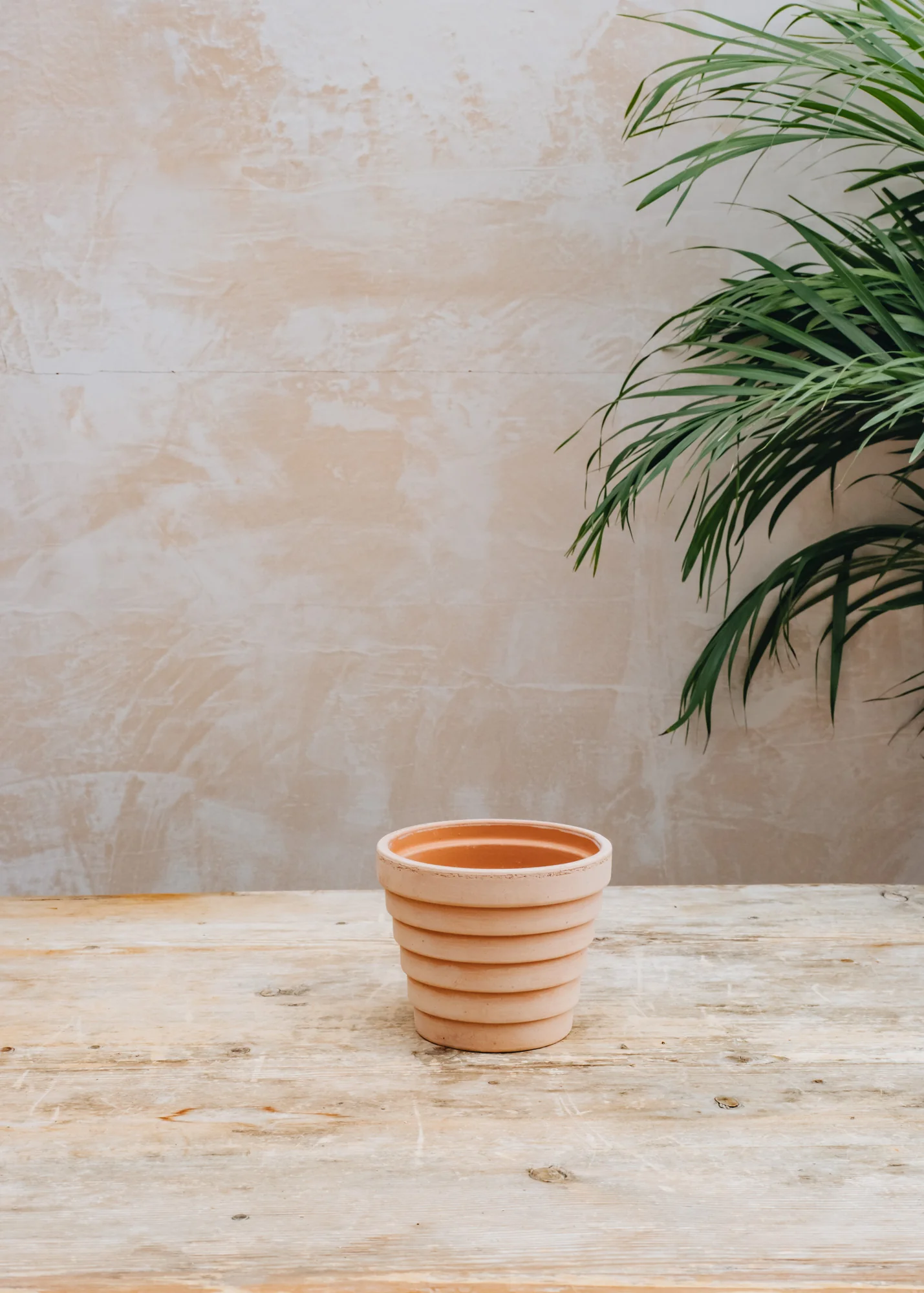 Rosa Planets Pots - Image 3