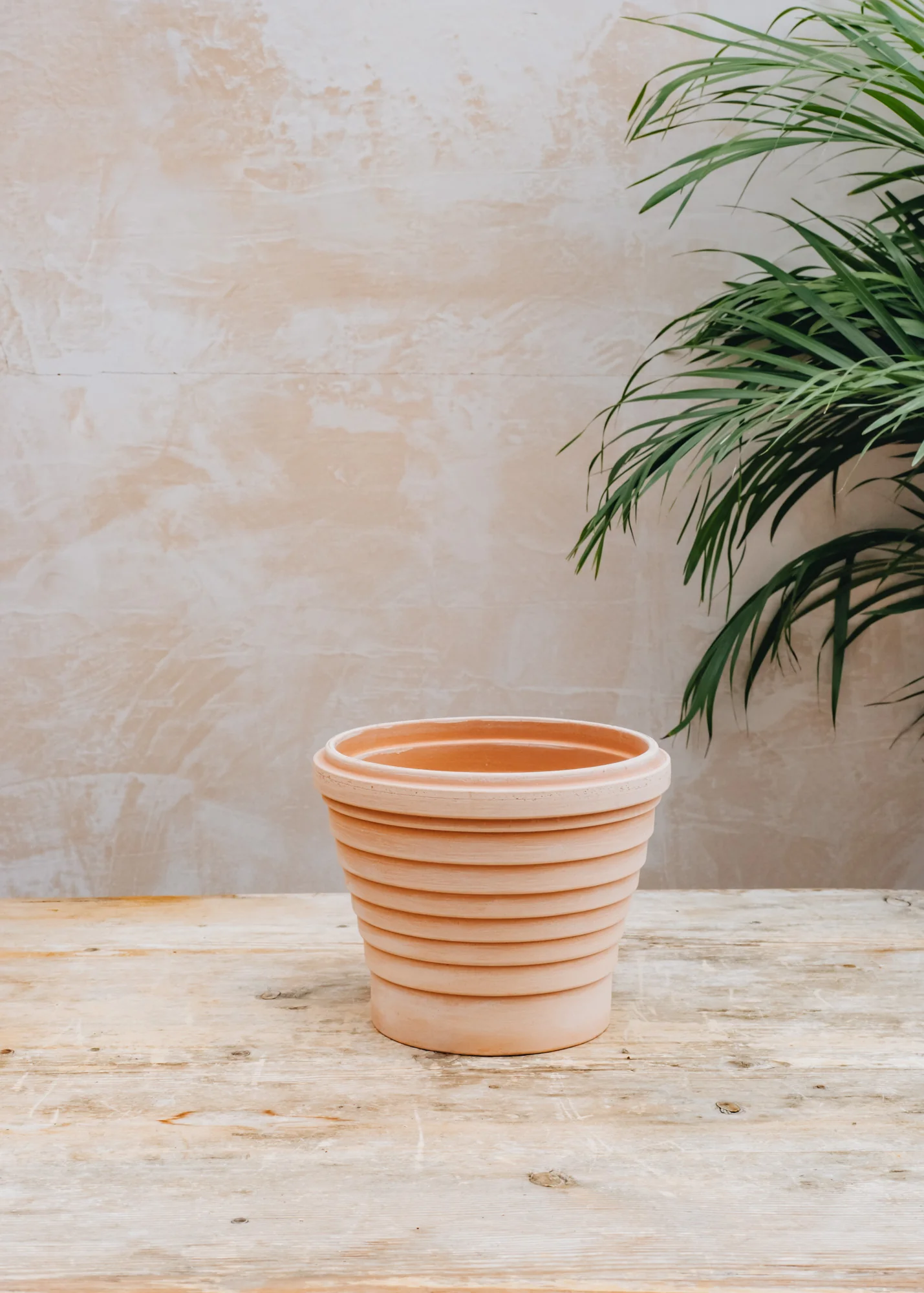 Rosa Planets Pots - Image 5