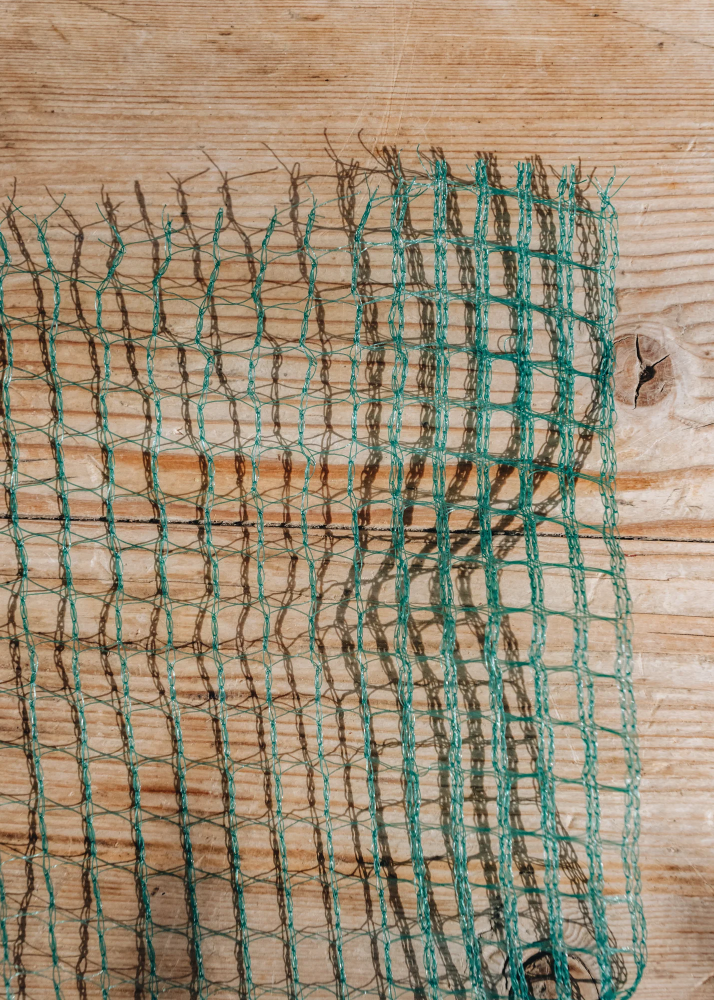 Bird Netting Green, (3m x 4m) - Image 2
