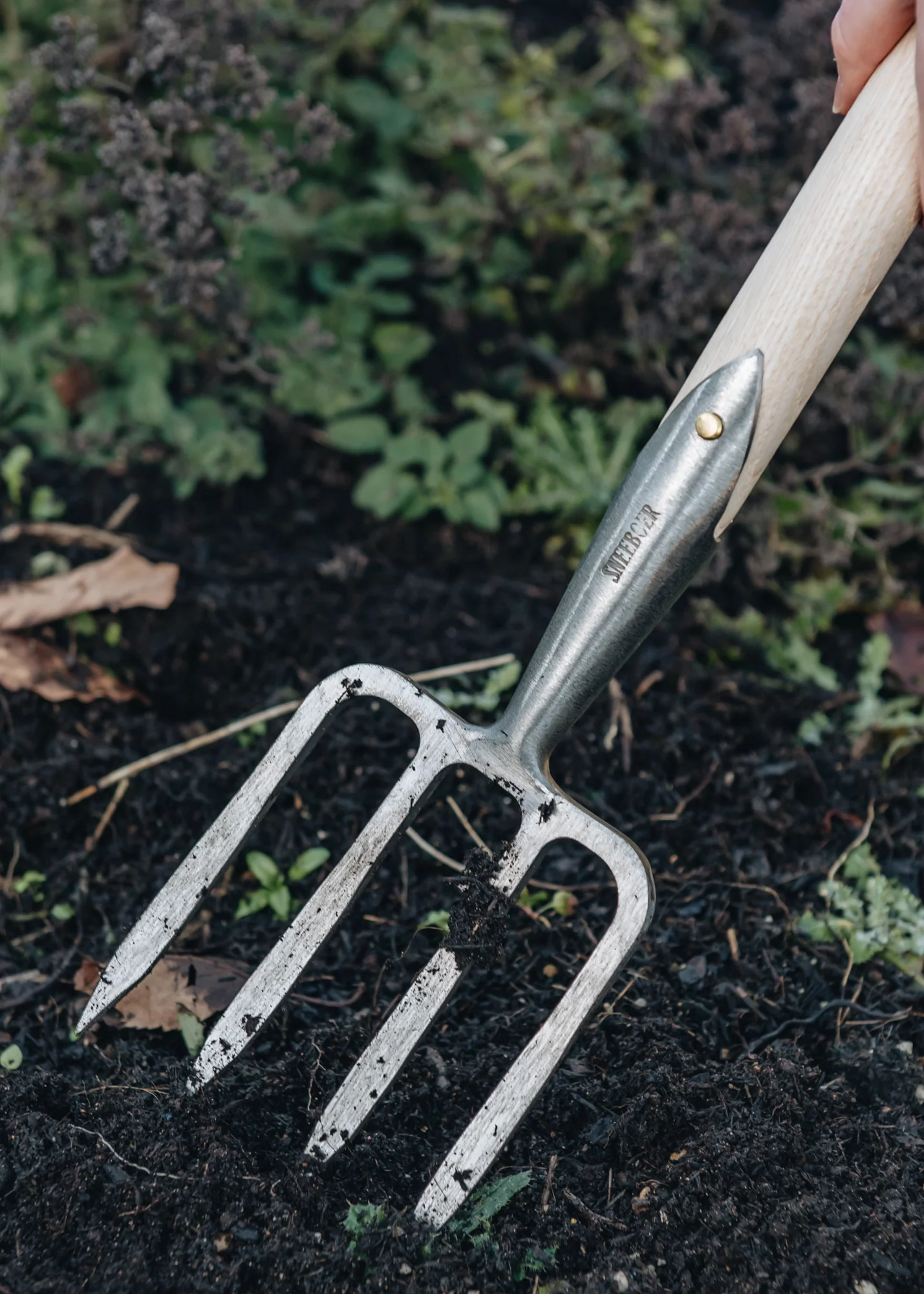 Border Fork - Image 3