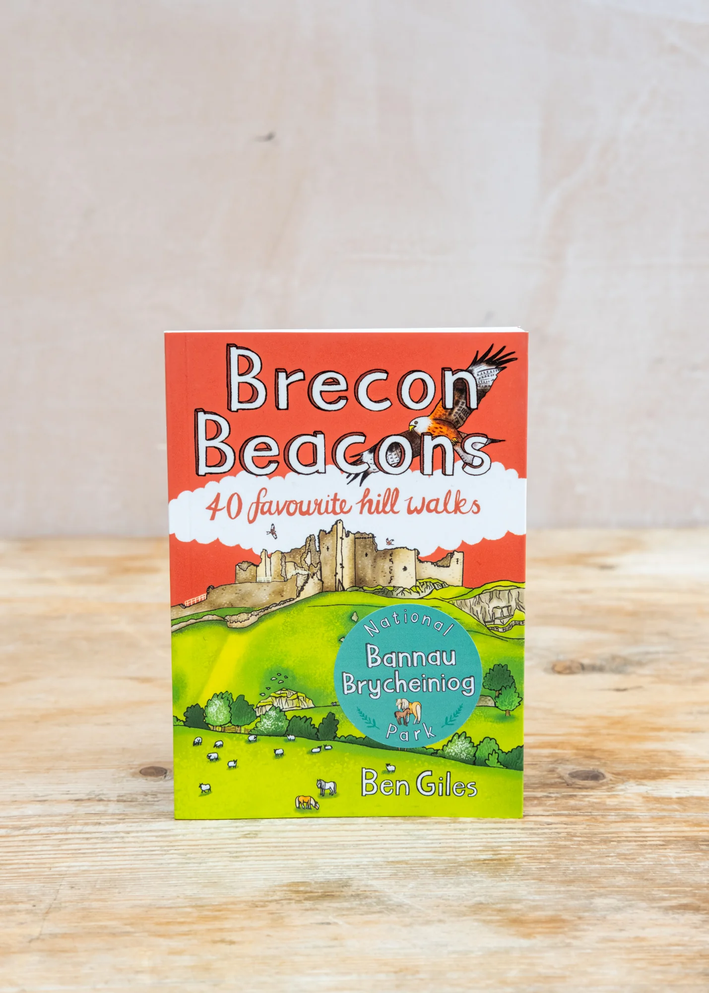Brecon Beacons: 40 Favourite Hill Walks