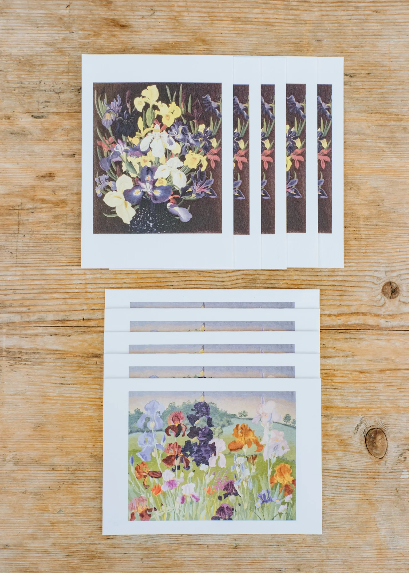Cedric Morris, 'Group of Irises c.1940' and 'Several Inventions' Printed Notecards, pack of ten