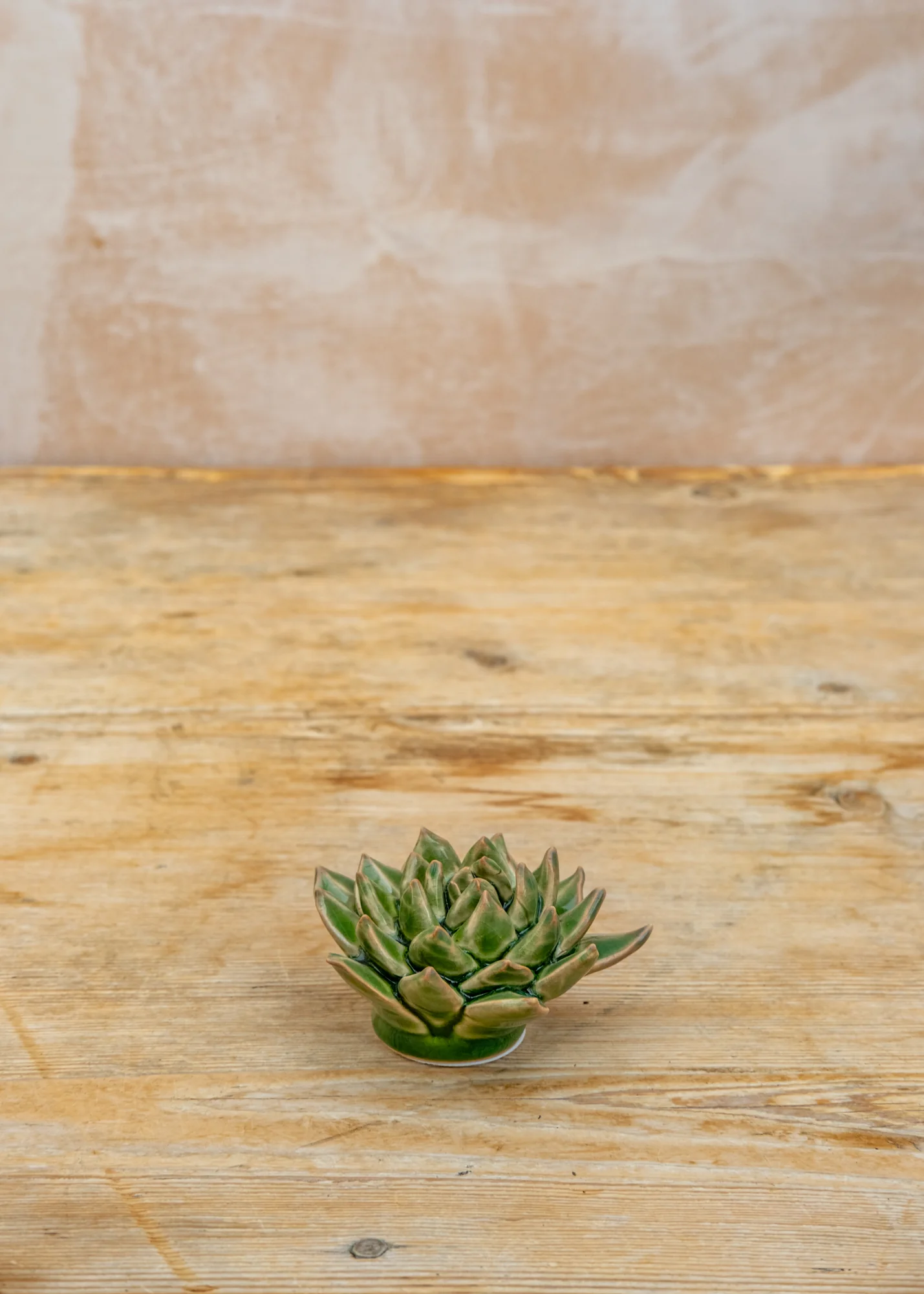 Avocado Green Firecracker Succulent Wall Decoration - Image 2
