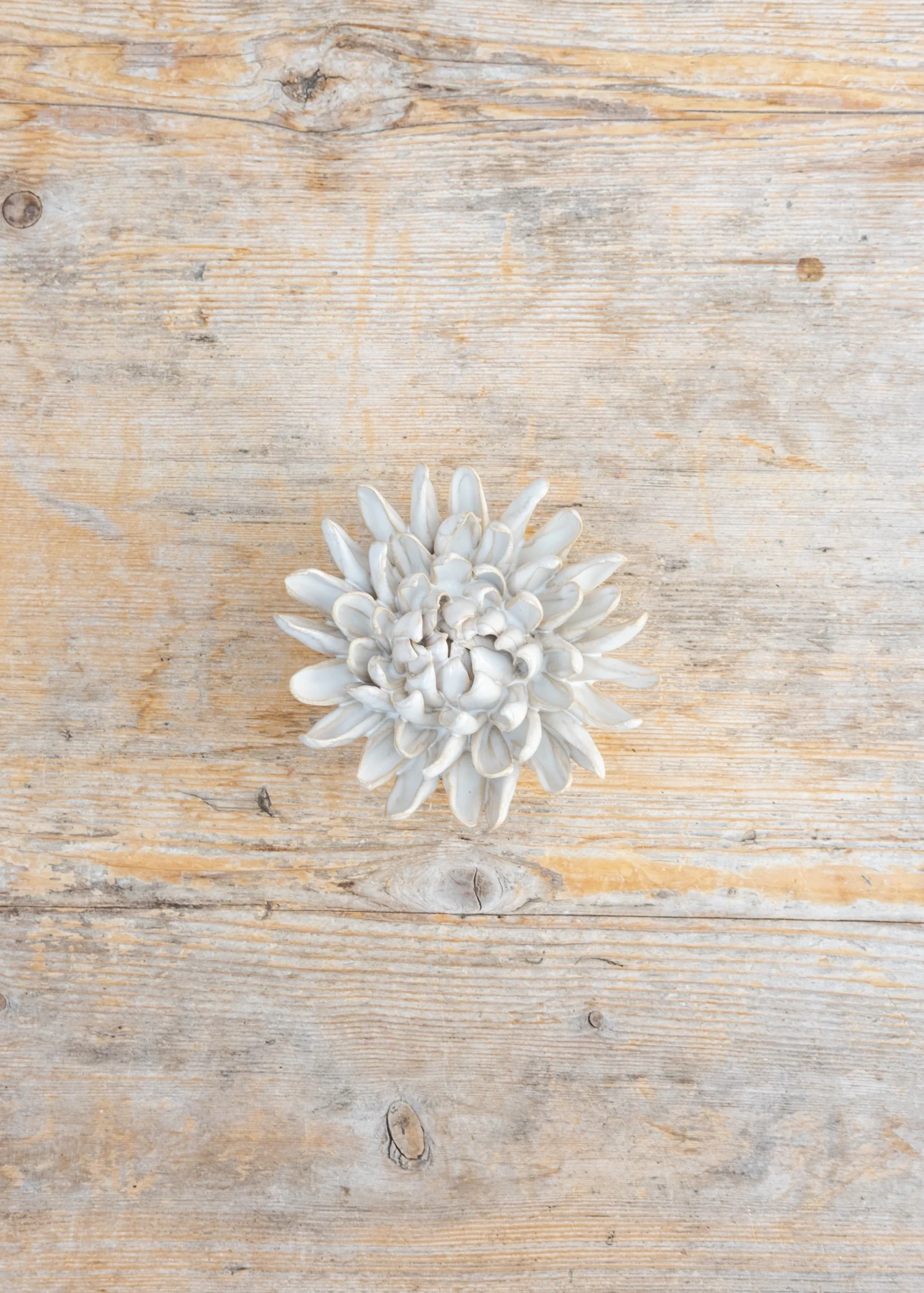 Ivory Chrysanthemum Wall Decoration