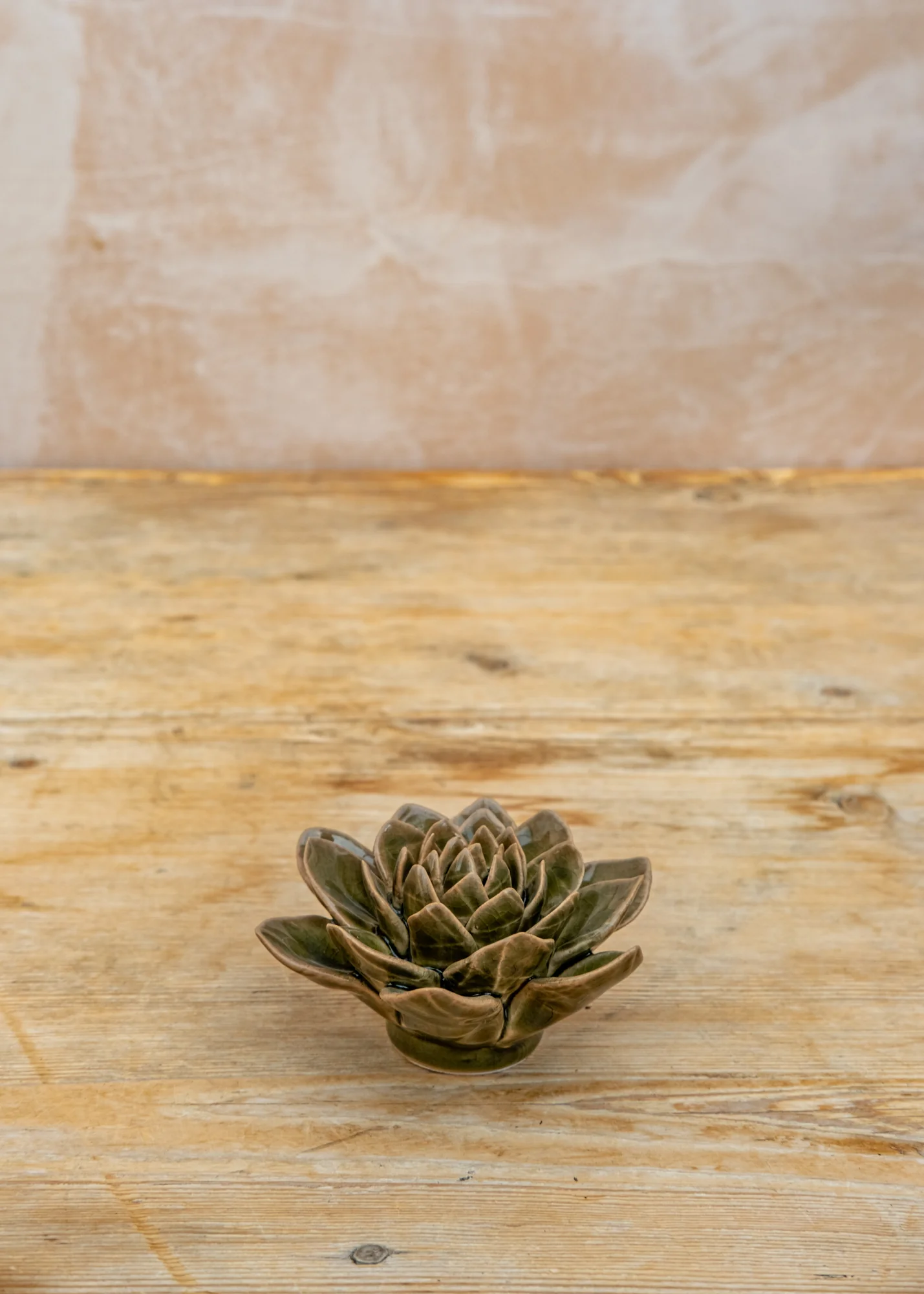 Olive Green Echeveria Wall Decoration - Image 2