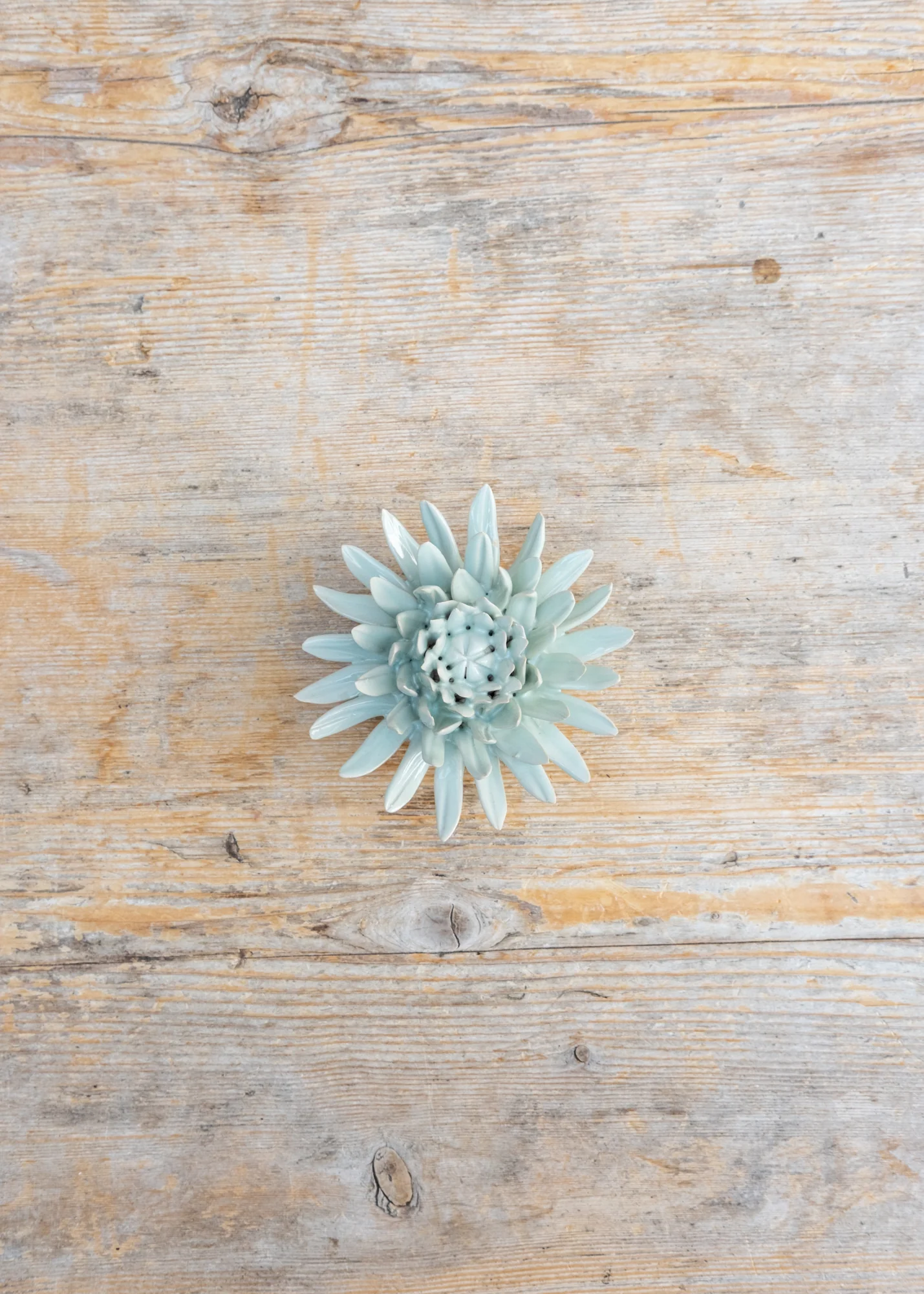 Panache Green Spider Mum Wall Decoration