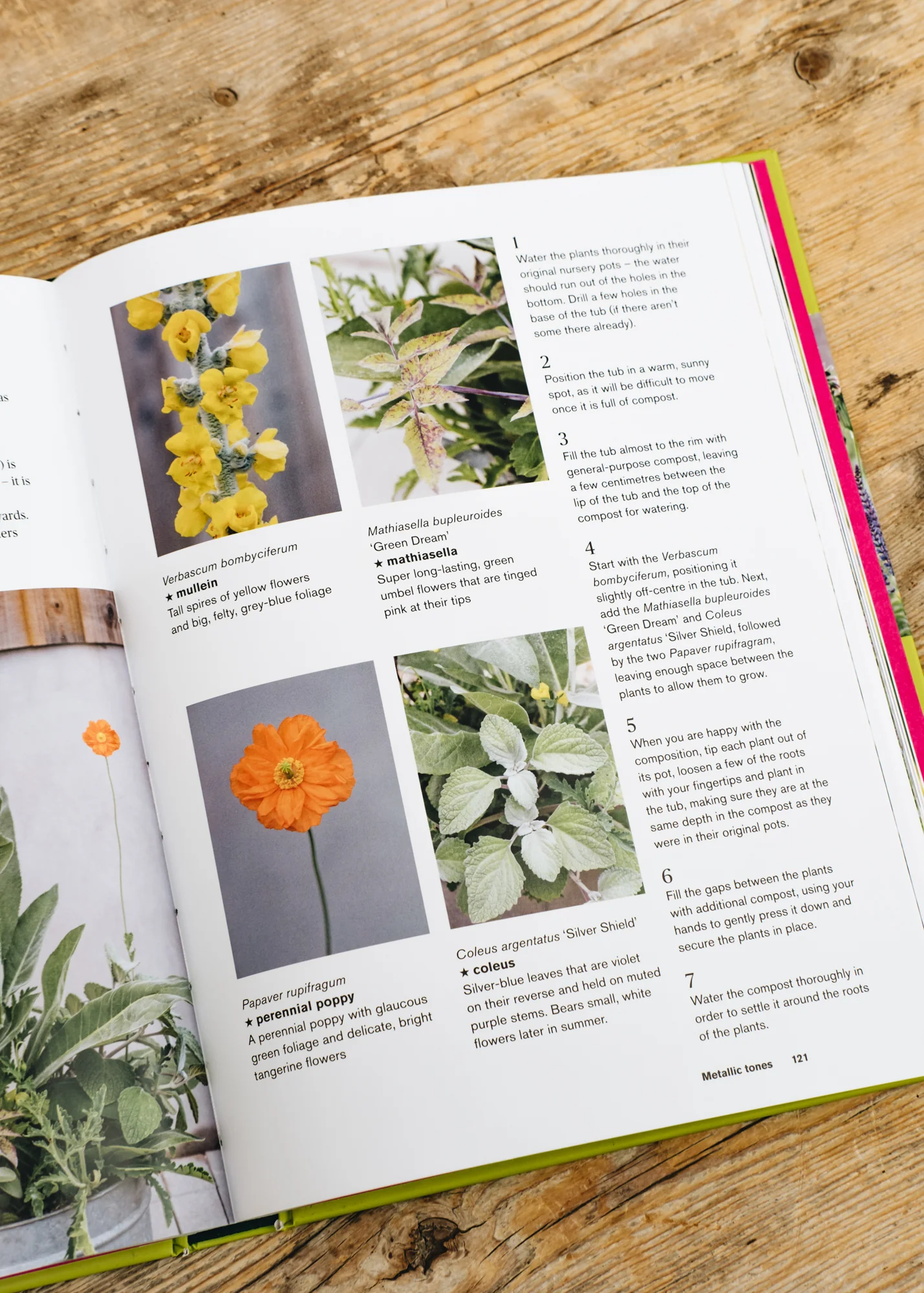 Colour in the Garden: Stylish Ideas for Year Round Colour (limited signed copies) - Image 2