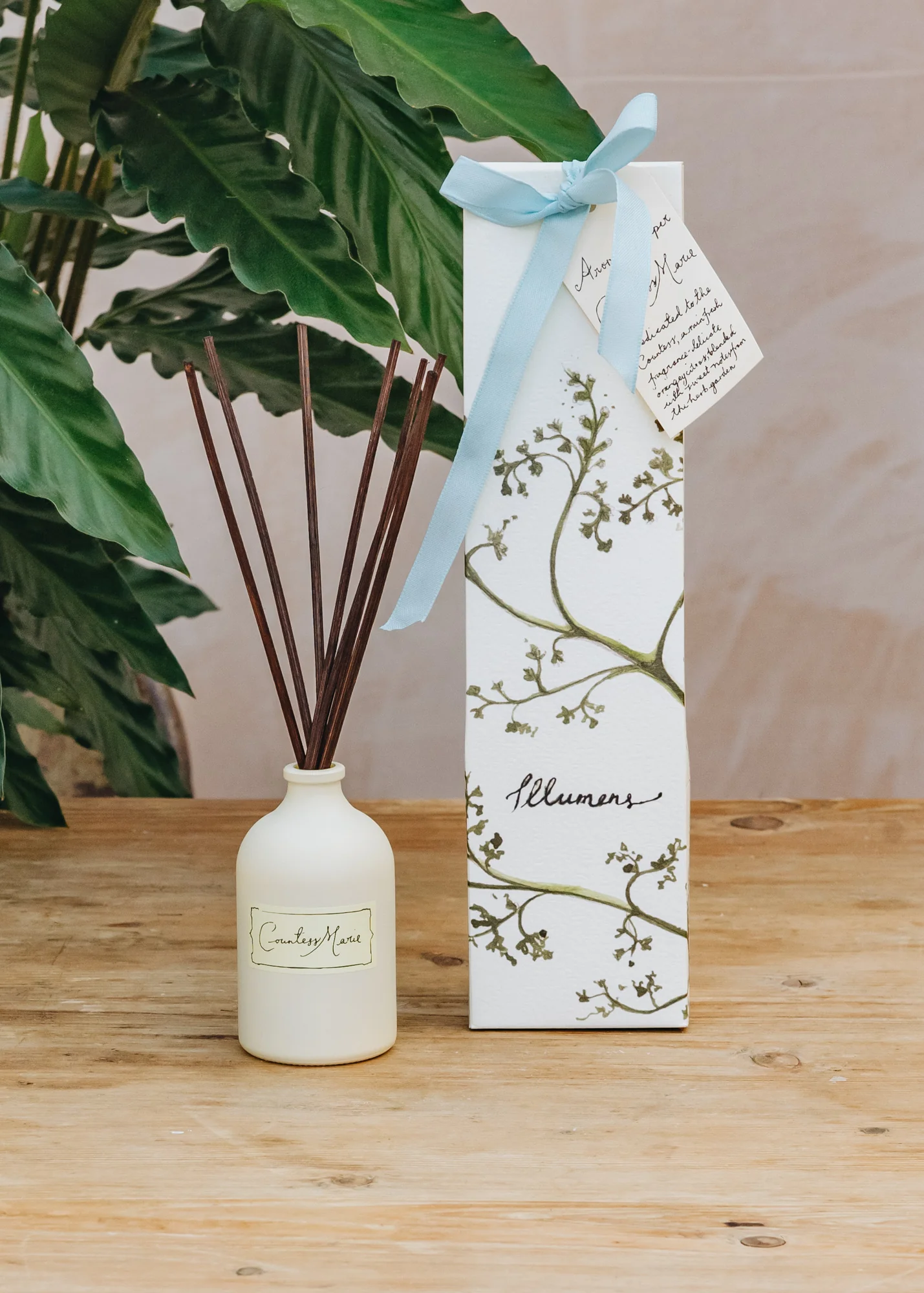 Countess Marie Reed Diffuser, 100ml