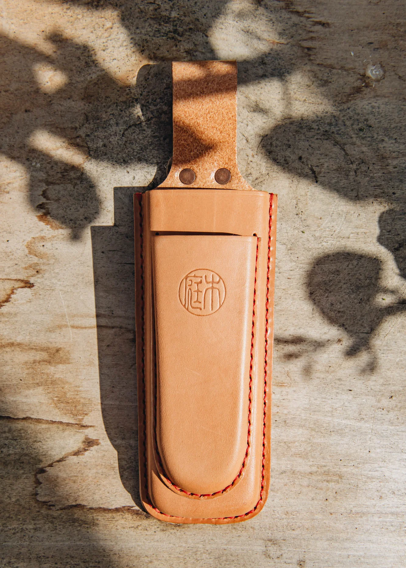 Double Holster