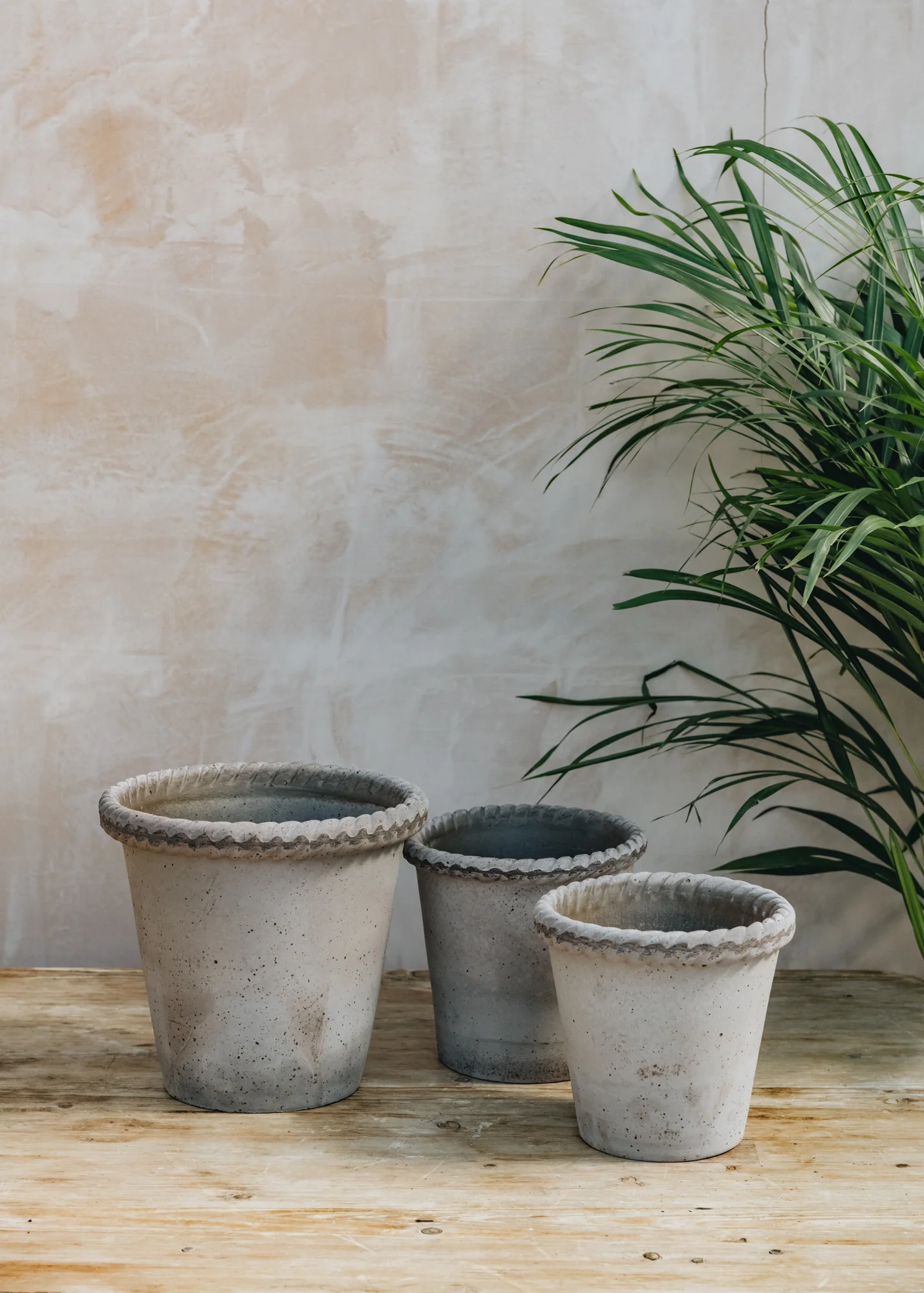 Emilia Grey Pots