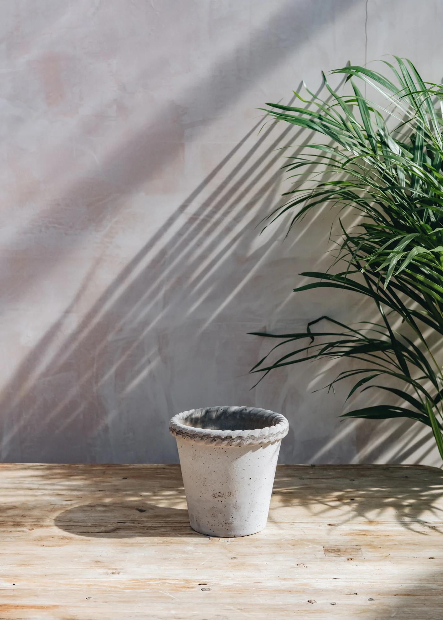 Emilia Grey Pots - Image 2