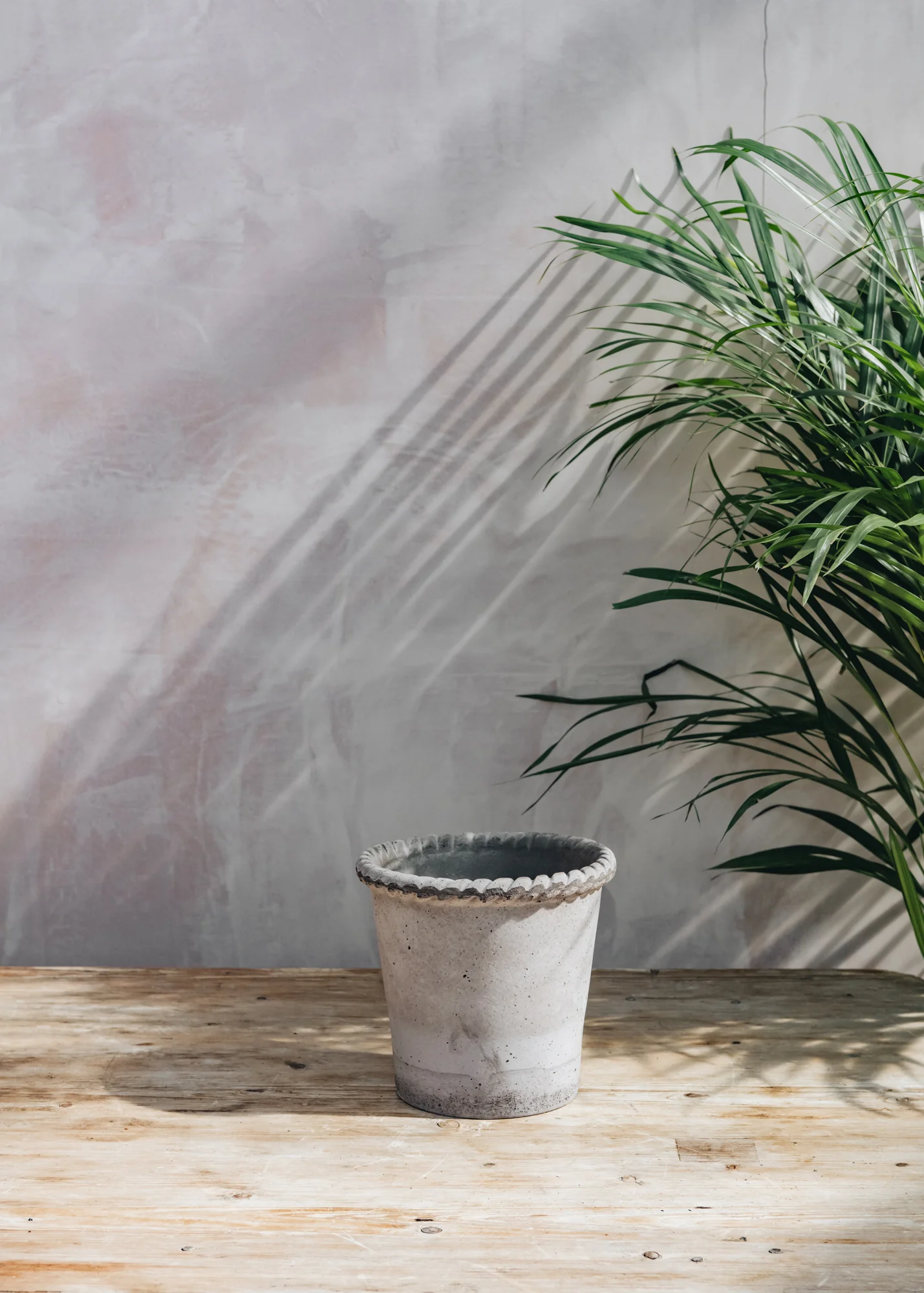 Emilia Grey Pots - Image 4