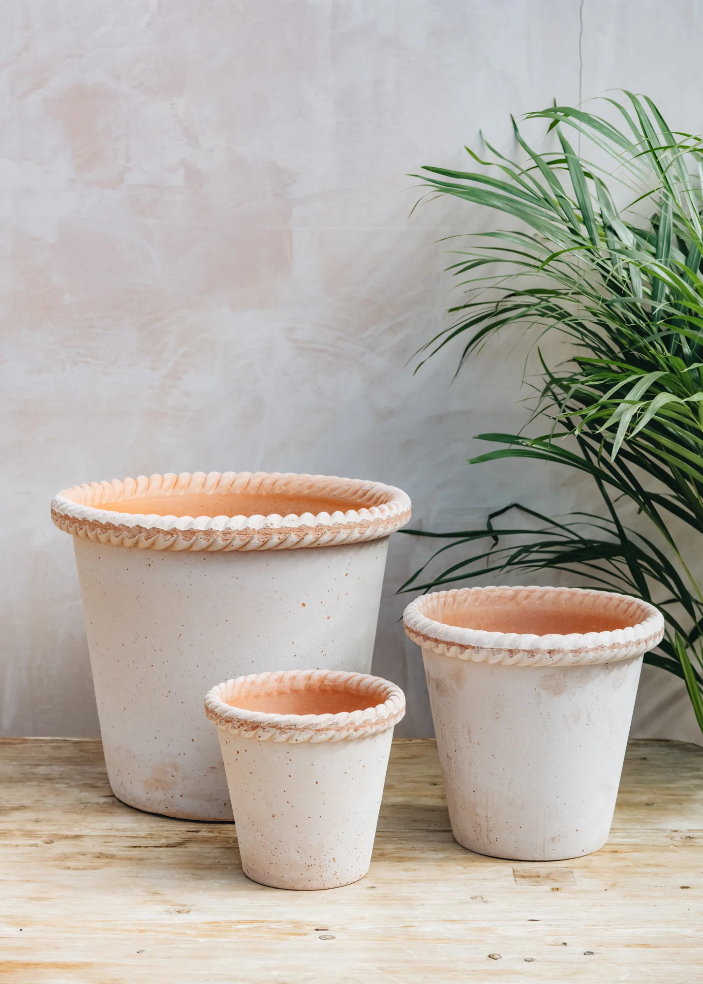 Emilia Rosa Pots