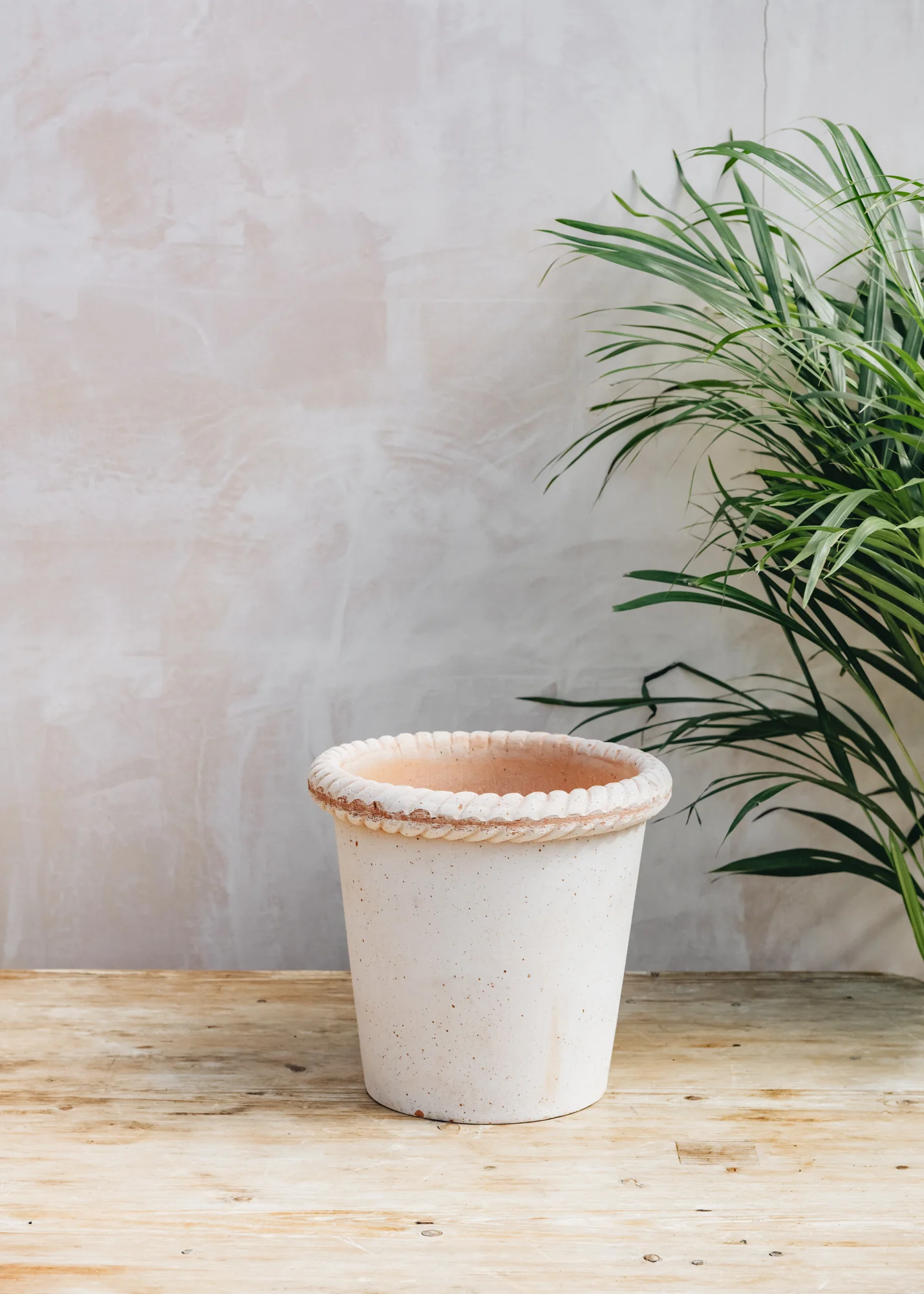 Emilia Rosa Pots - Image 5