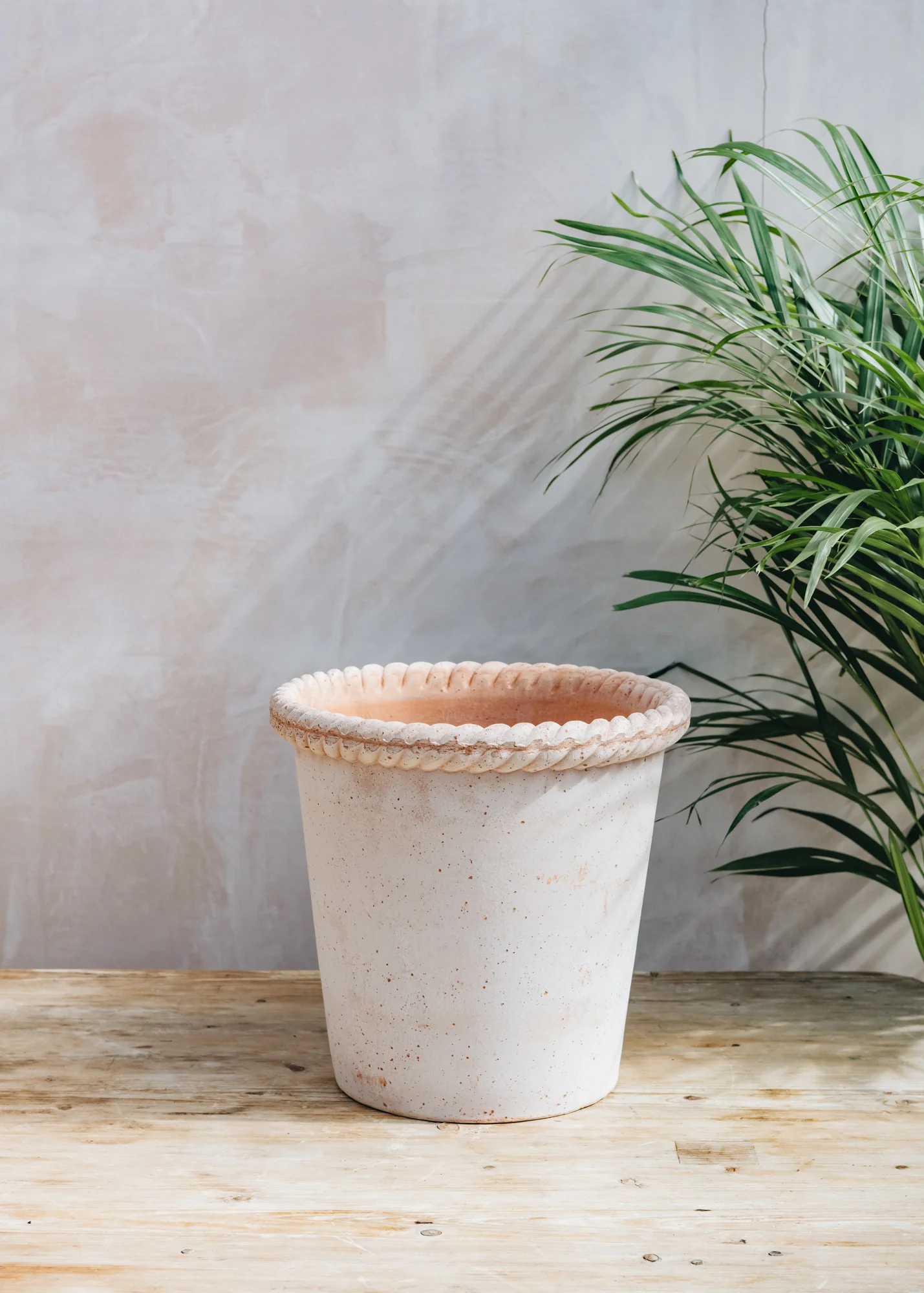 Emilia Rosa Pots - Image 6