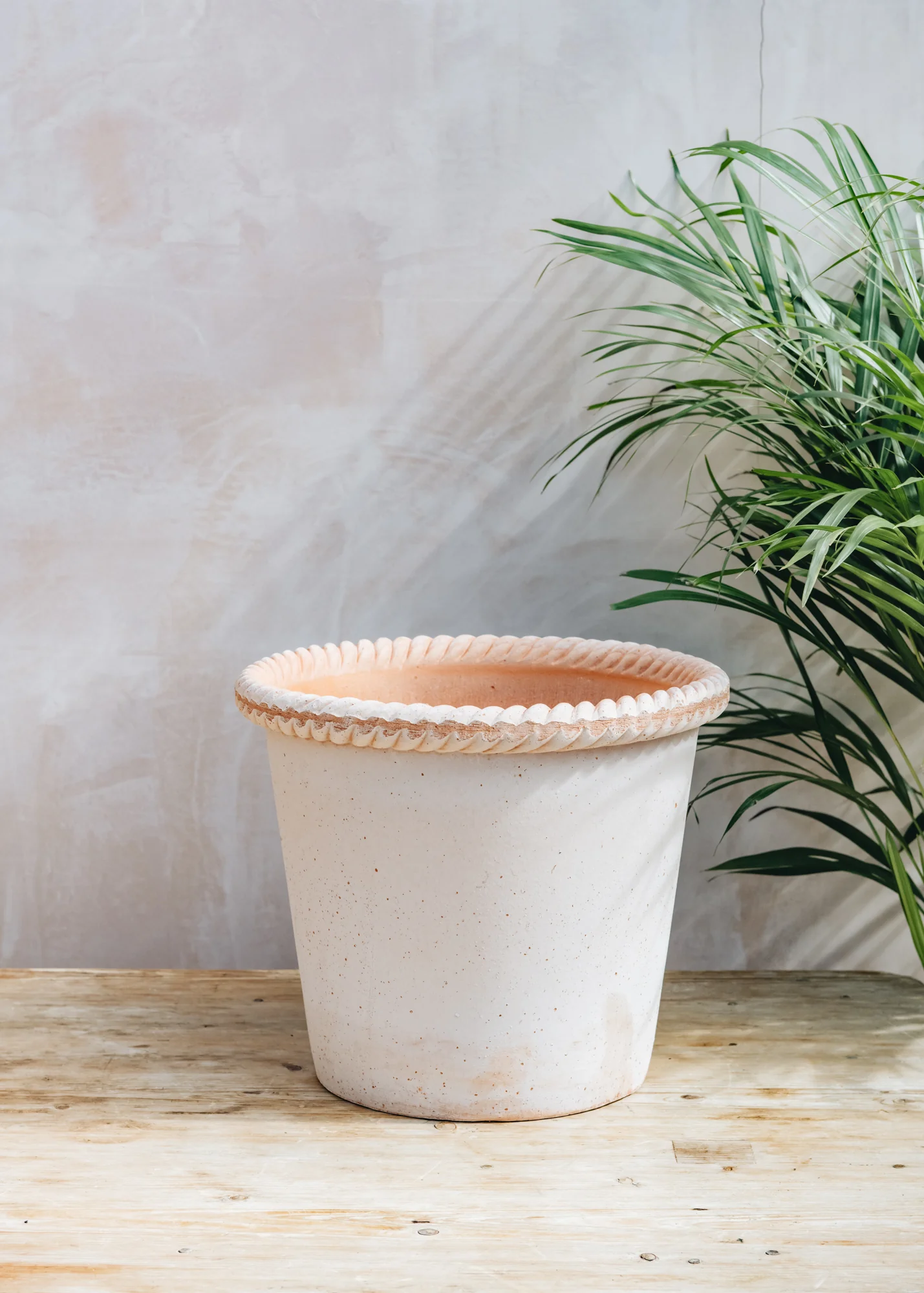 Emilia Rosa Pots - Image 7