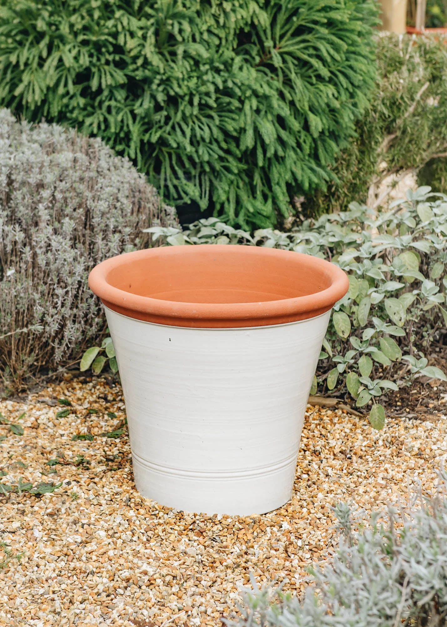 Extra Large Kitchen Planters - Image 2