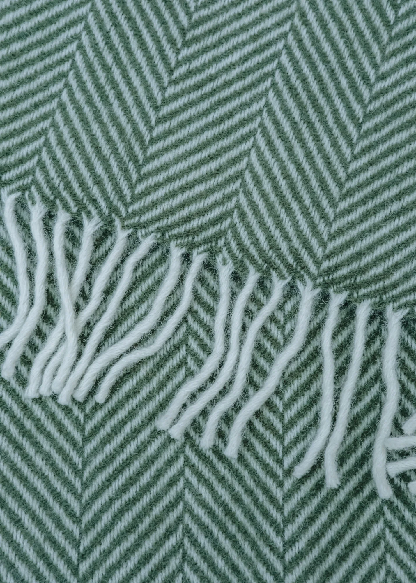 Fishbone Throw in Olive - Image 2