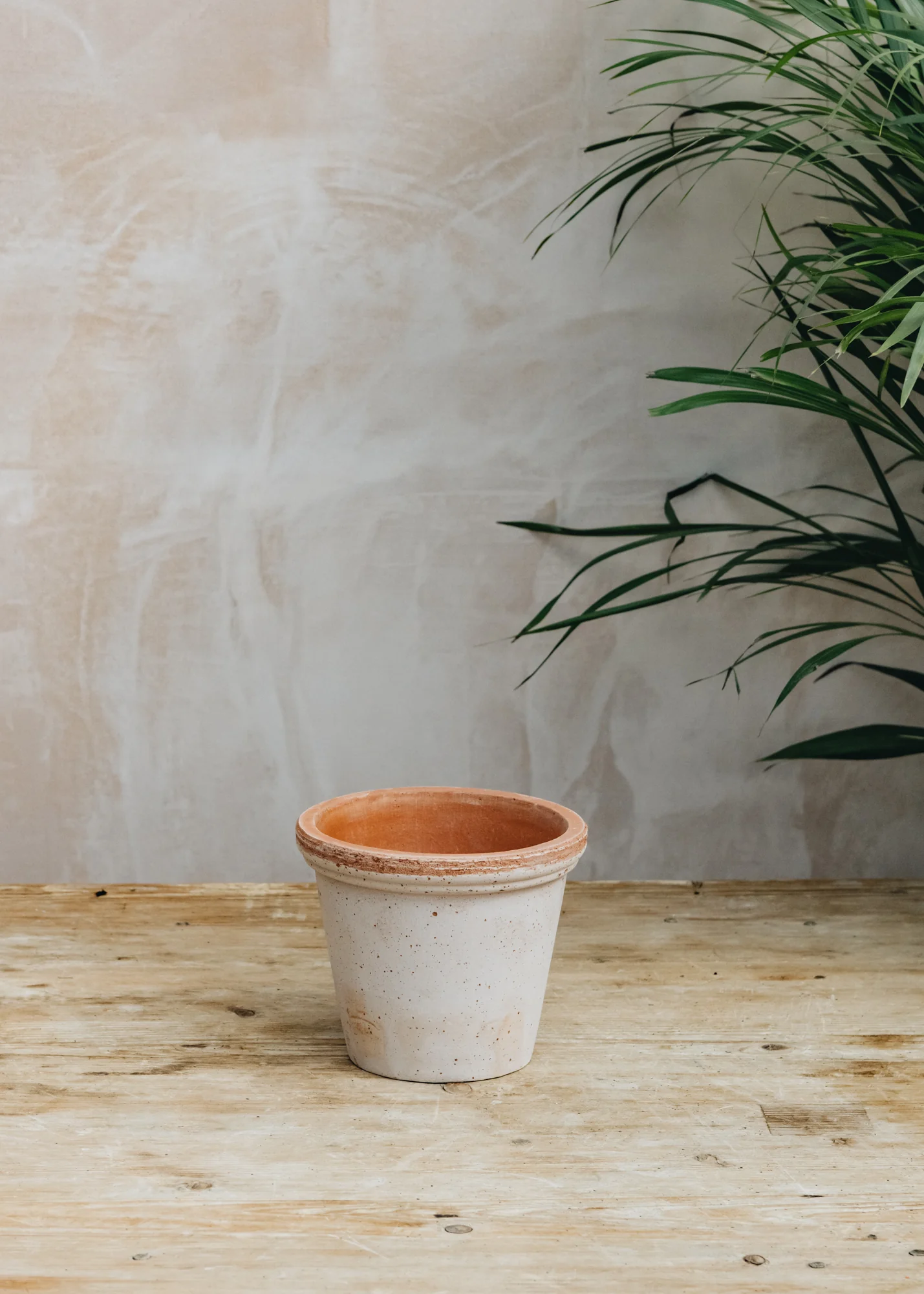 Flora Rosa Pots - Image 2