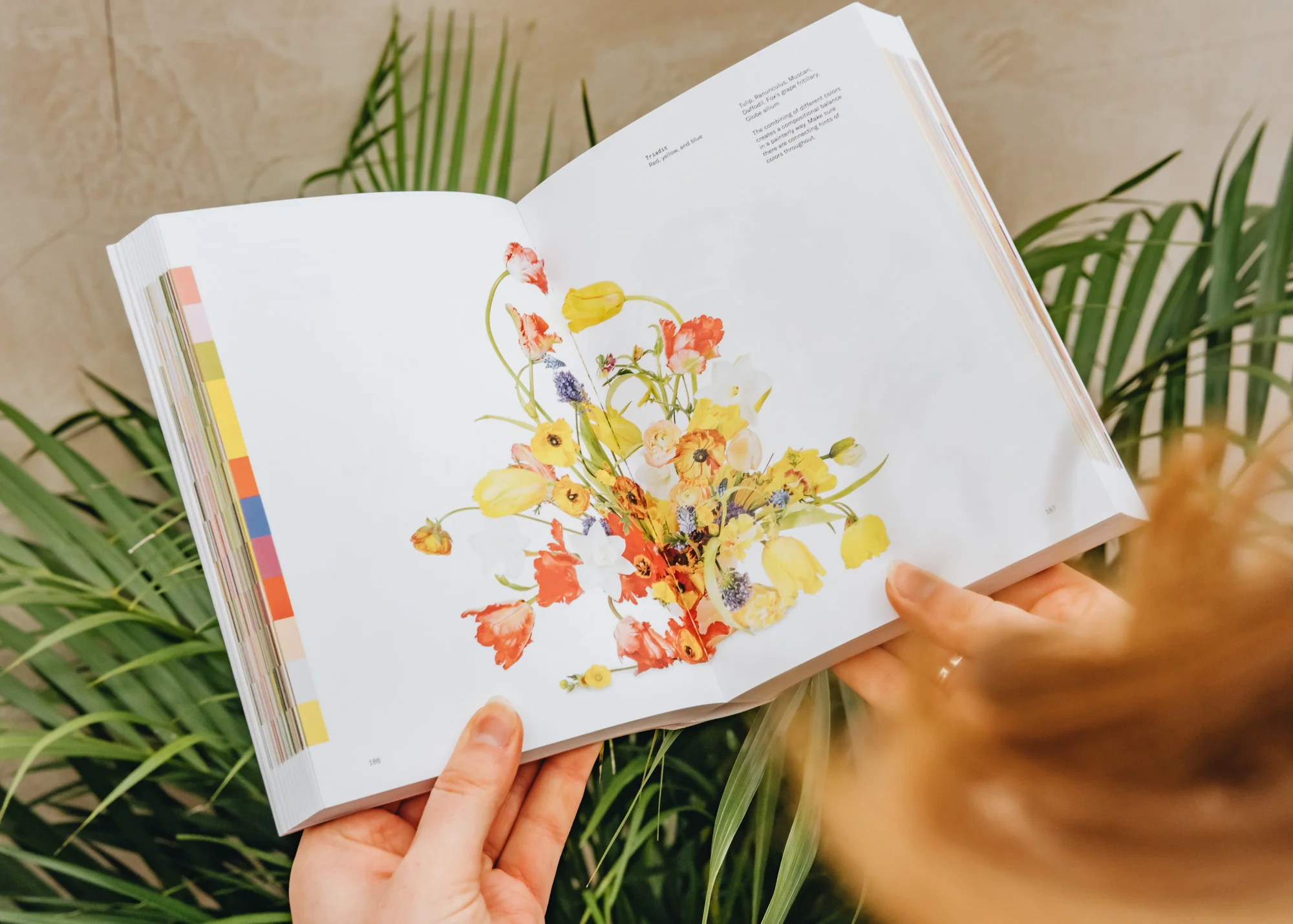 Flower Colour Theory - Image 2