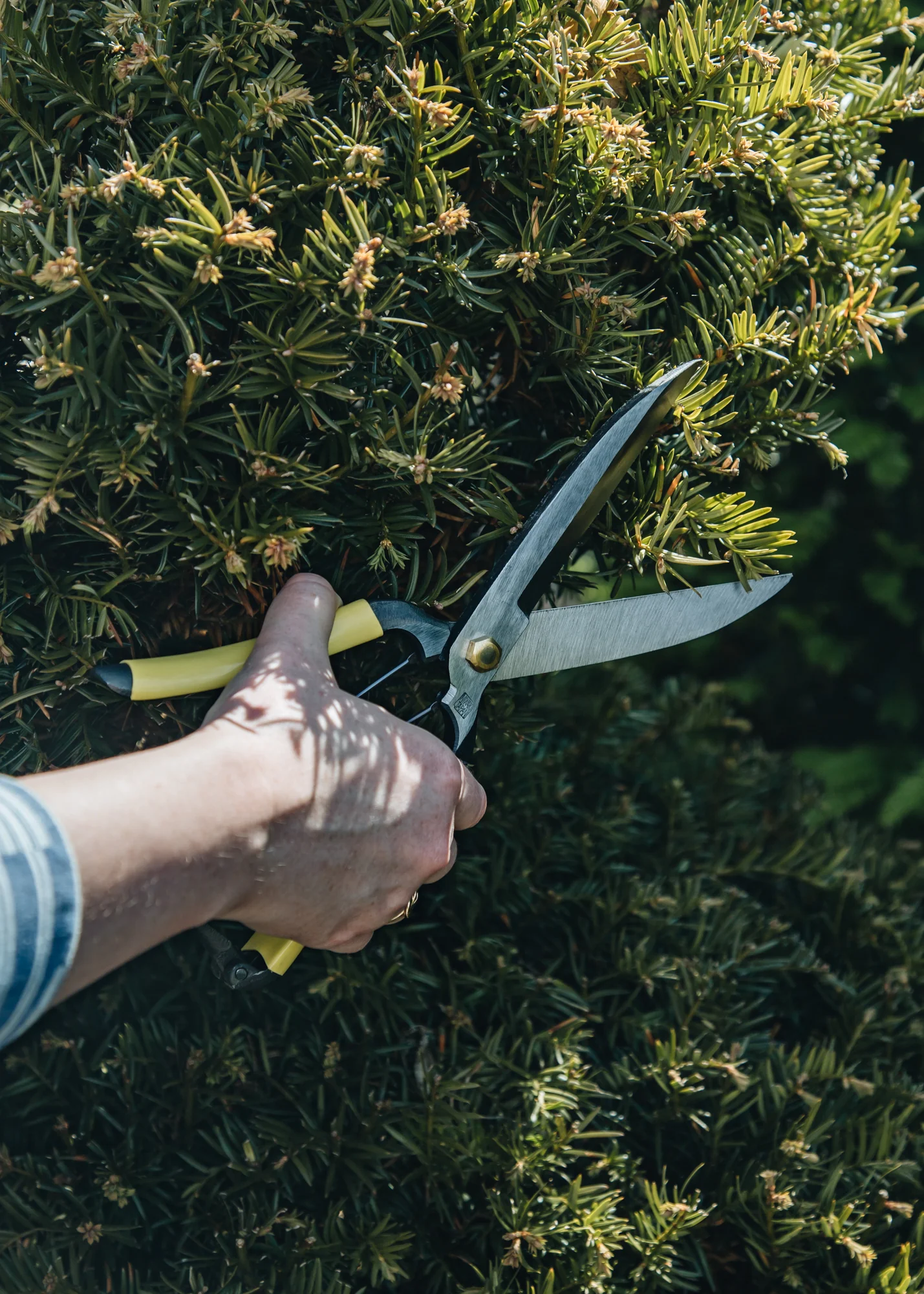GR Pro Topiary Clippers - Image 3