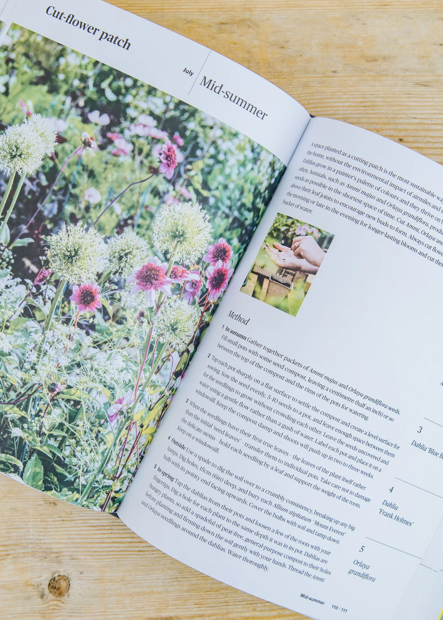 Grow 5: Simple Seasonal ideas for Small Outdoor Spaces with Just Five Plants - Image 2
