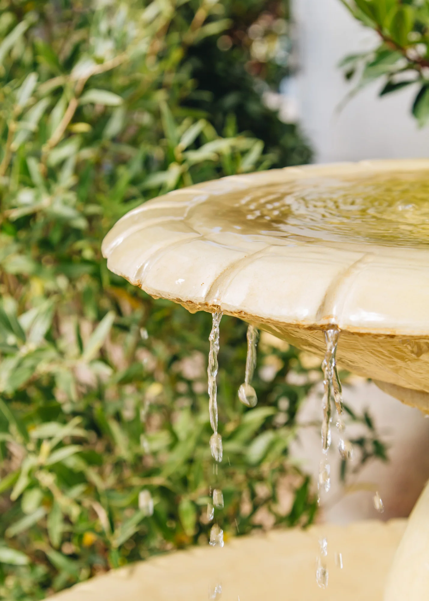 Double Arcadian Fountain - Image 2