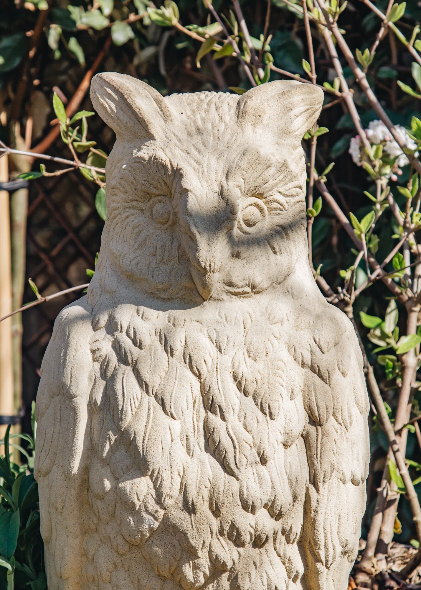 Eagle Owl - Image 2