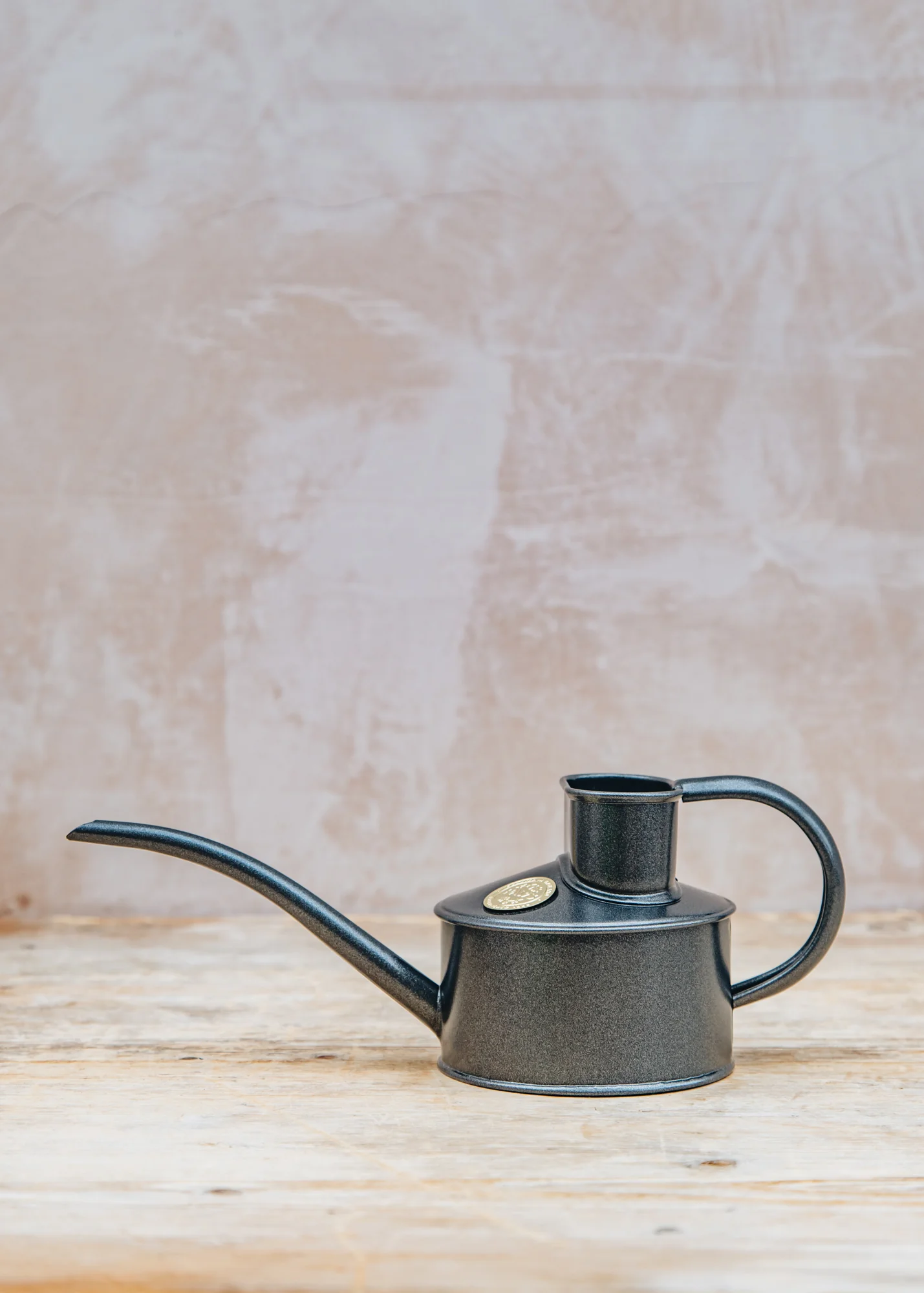 Fazely Flow Watering Can in Graphite, 1pt