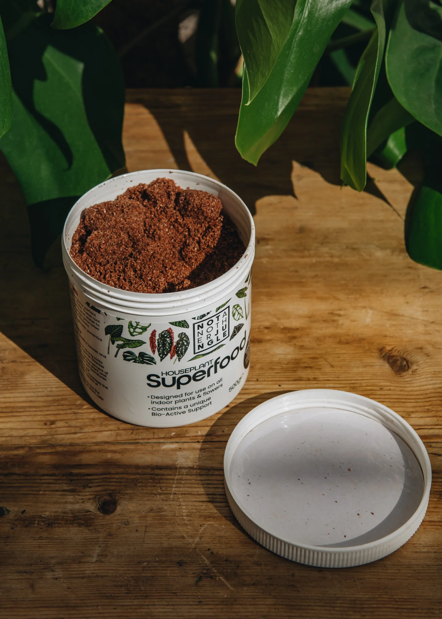 Houseplant Superfood - Image 2