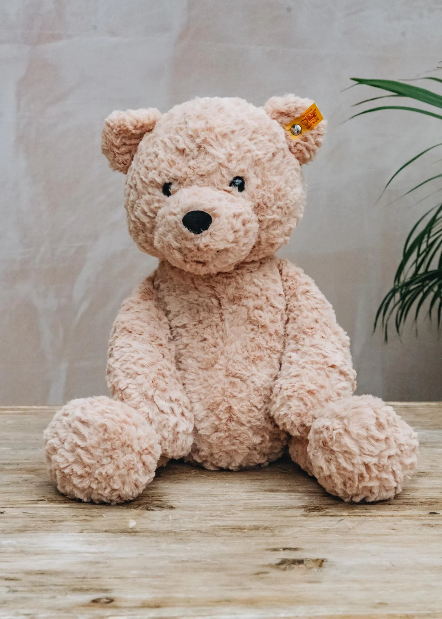 Jimmy Teddy Bear