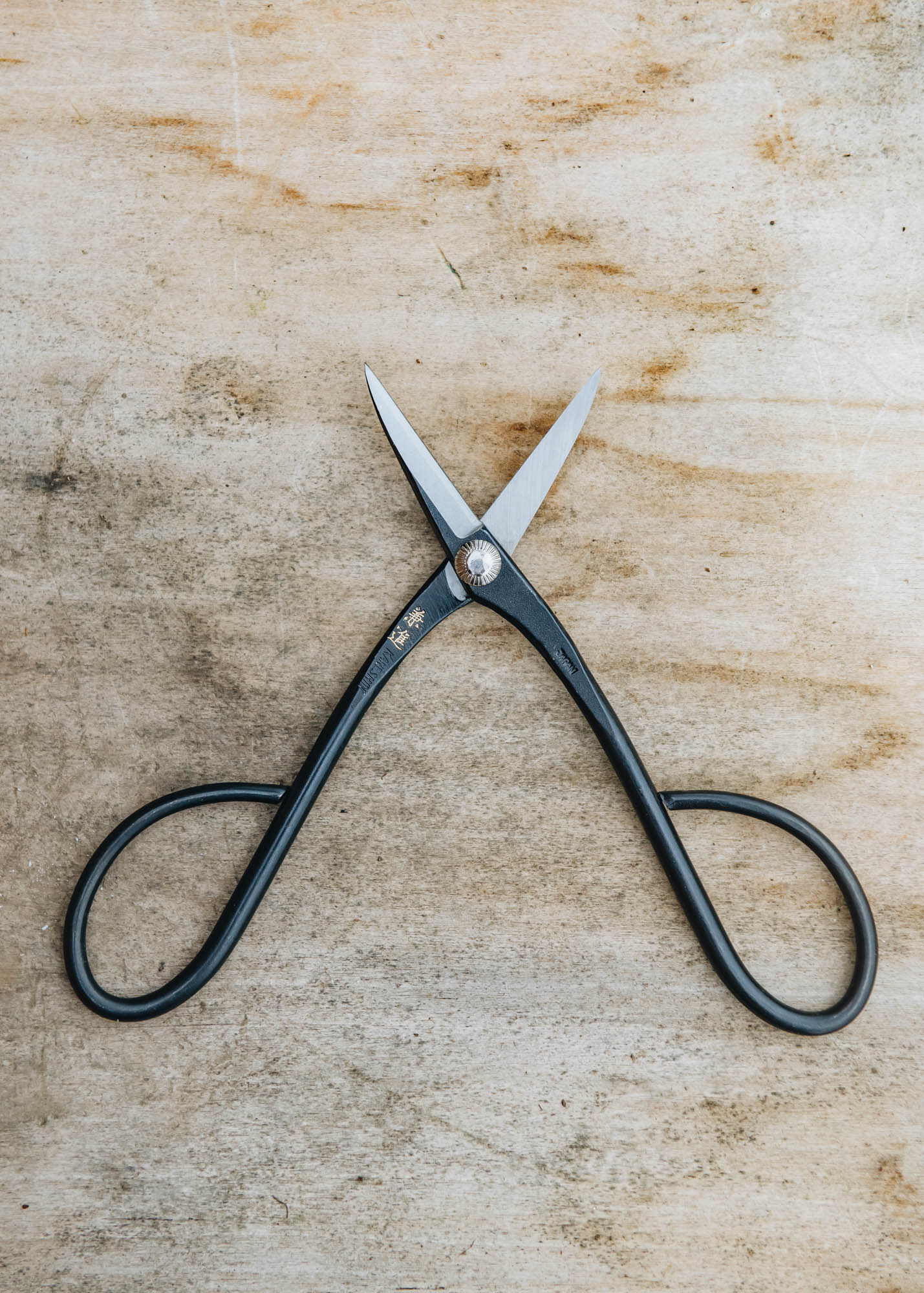 Kaneshin Bonsai Trimming Scissors - Image 2