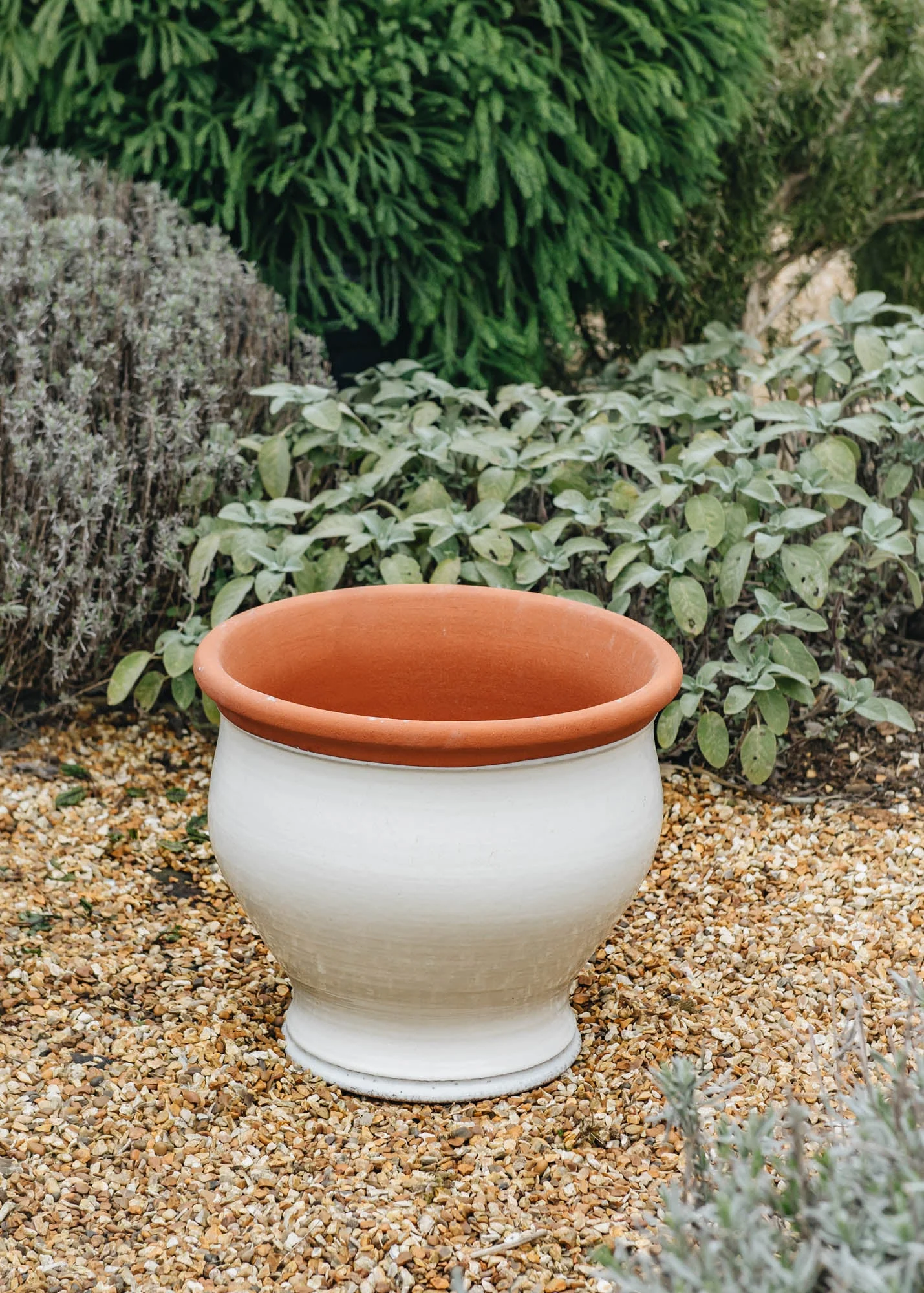 Large Bellied Planters - Image 2