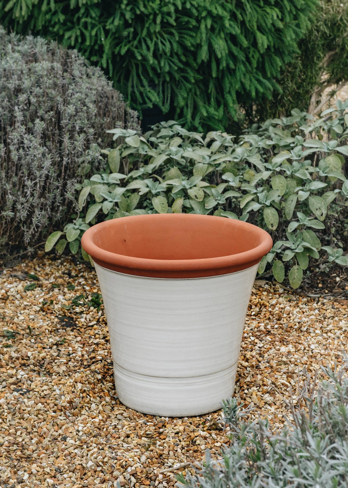 Large Kitchen Planter - Image 2