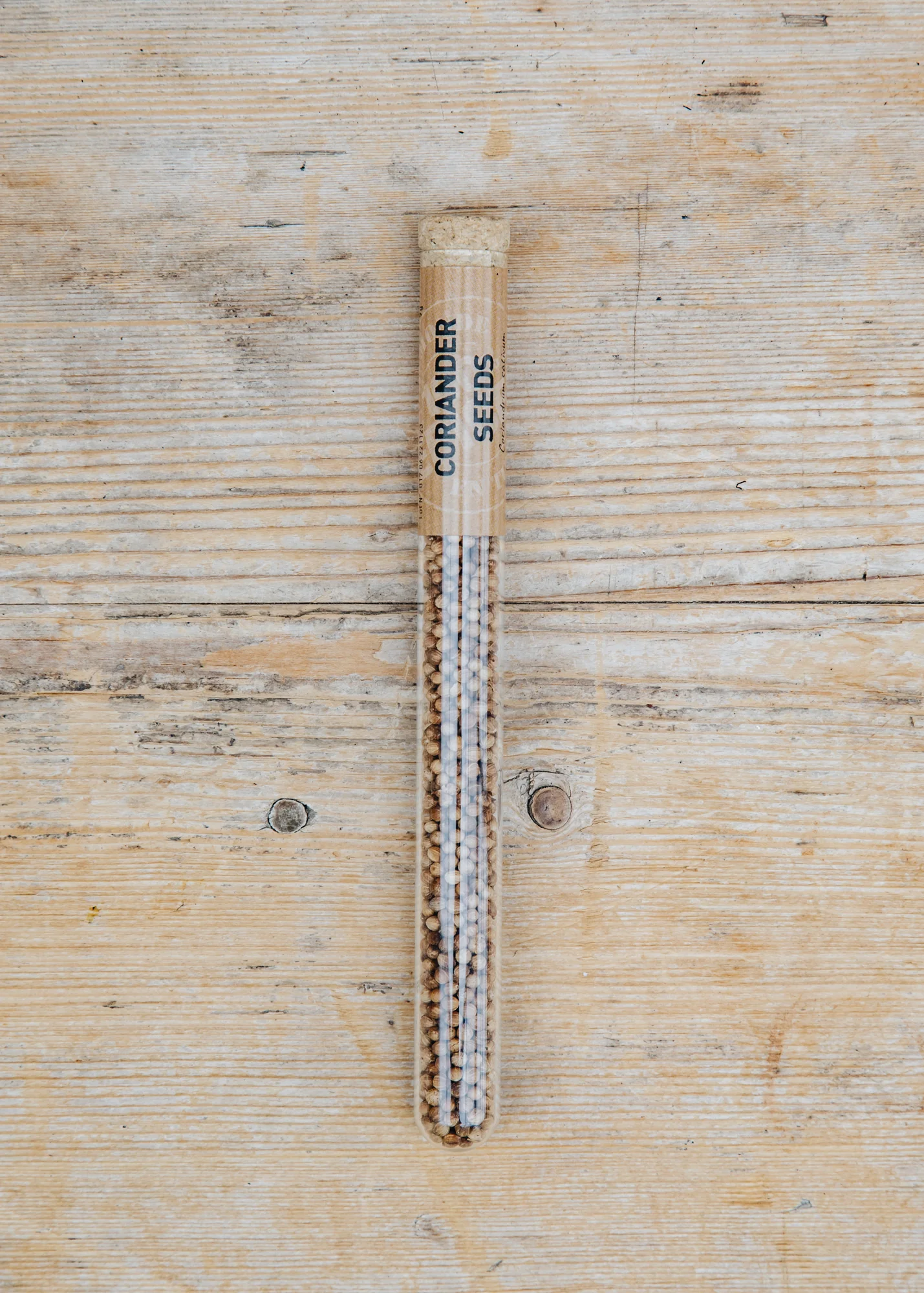 Coriander Seeds Spice Tube