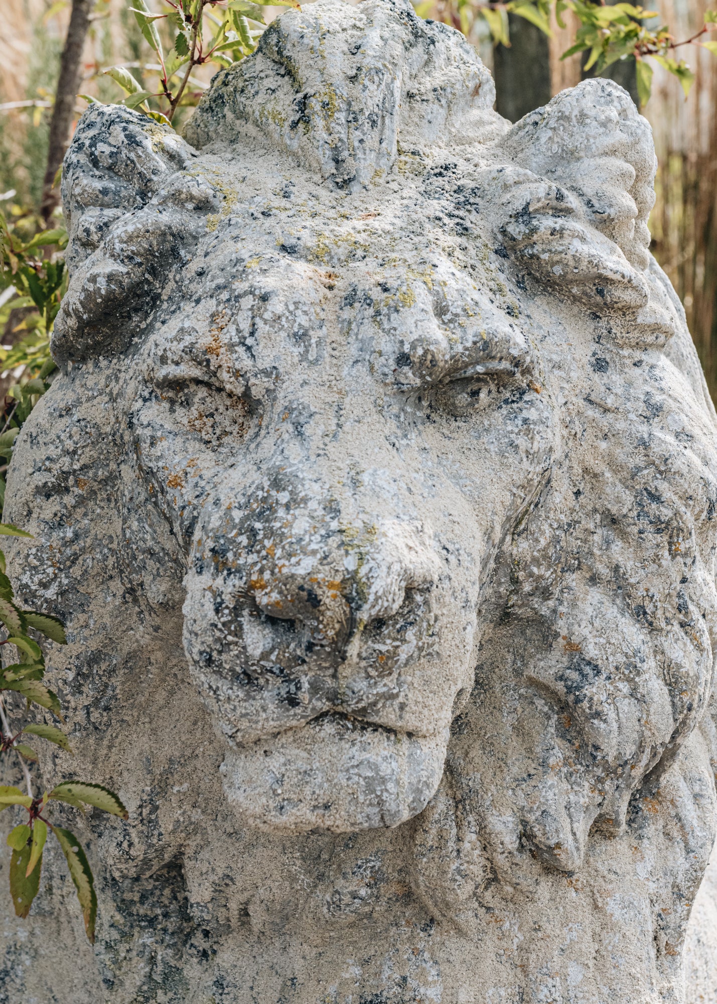 Left Facing Stone Lion - Image 2