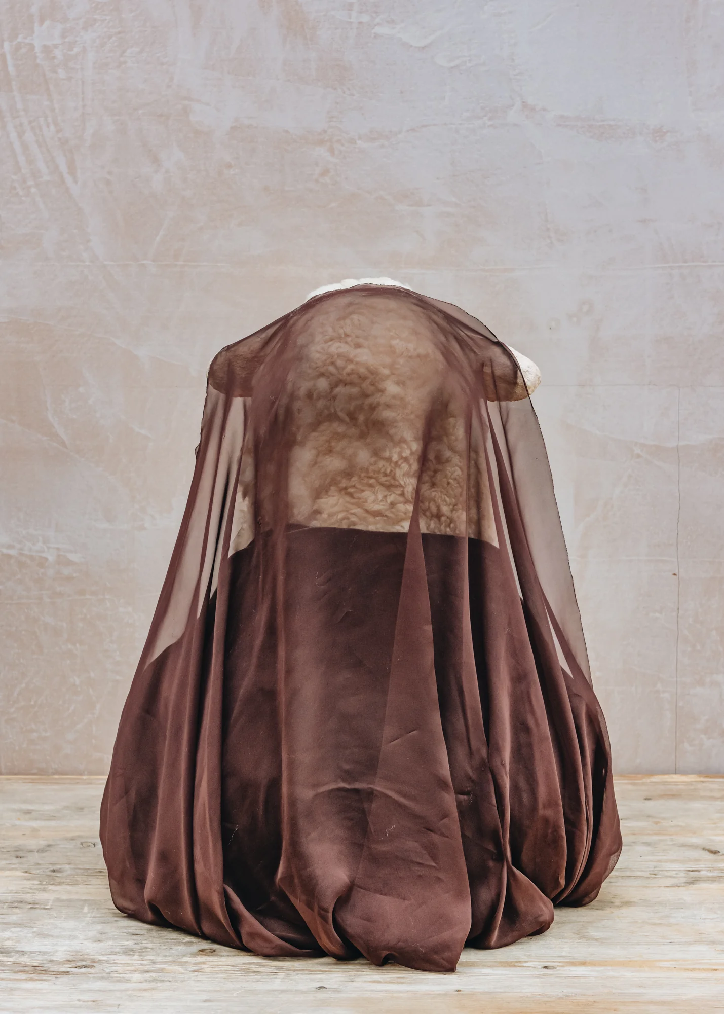 Lisa - Image 3