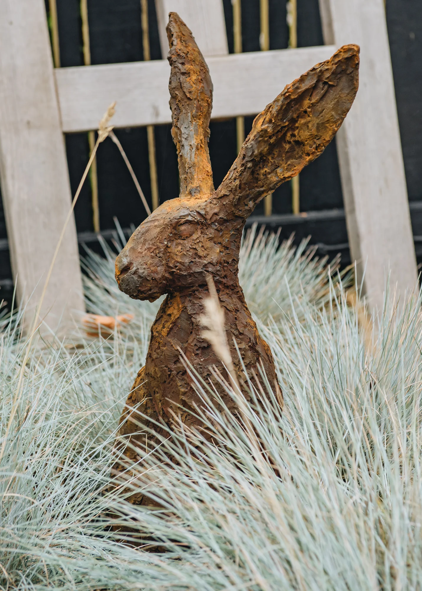 Listening Hare